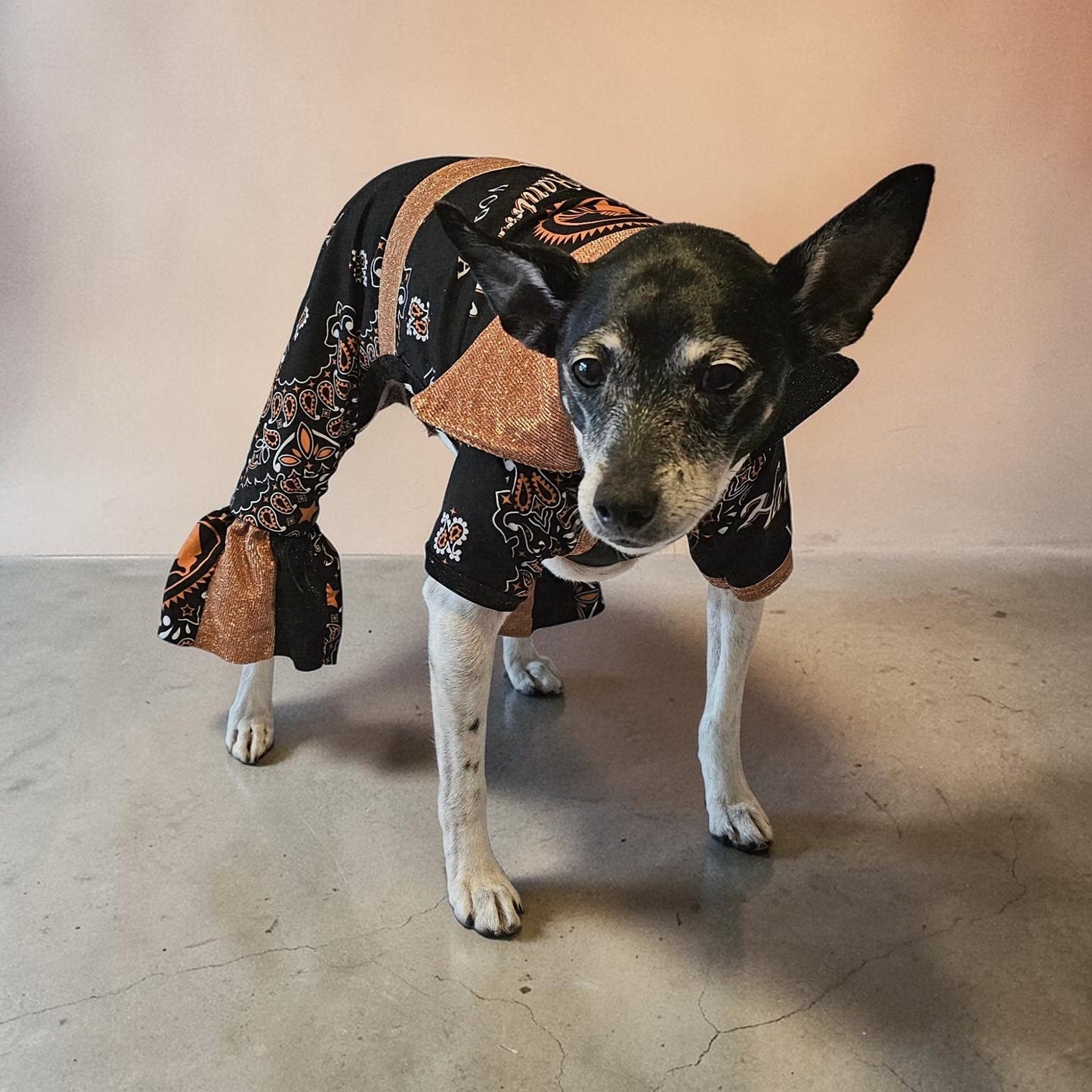 Tito's inspired pet body suit, glitter dog bodysuit, bell bottom jumper for pets