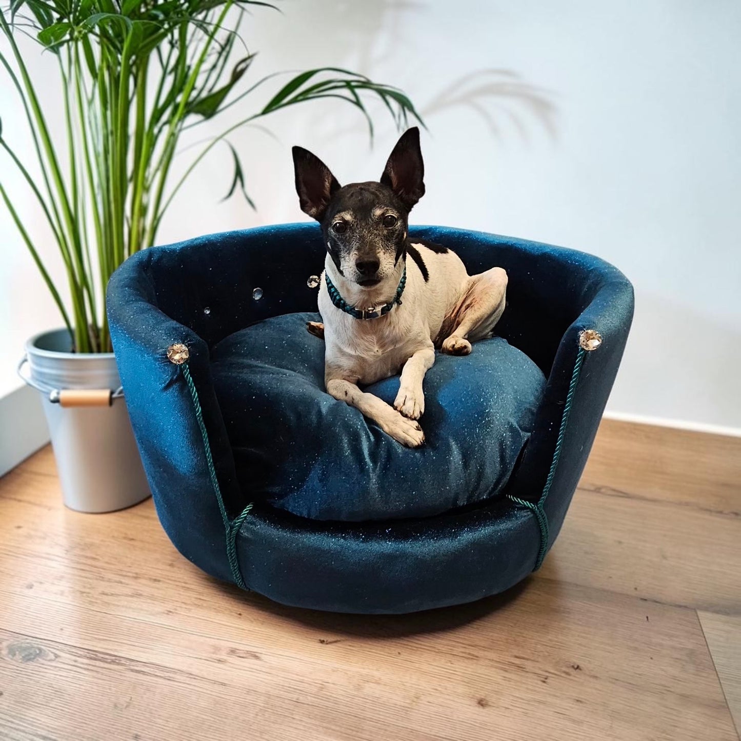 Glitter round velvet luxury pet bed, custom dog beds