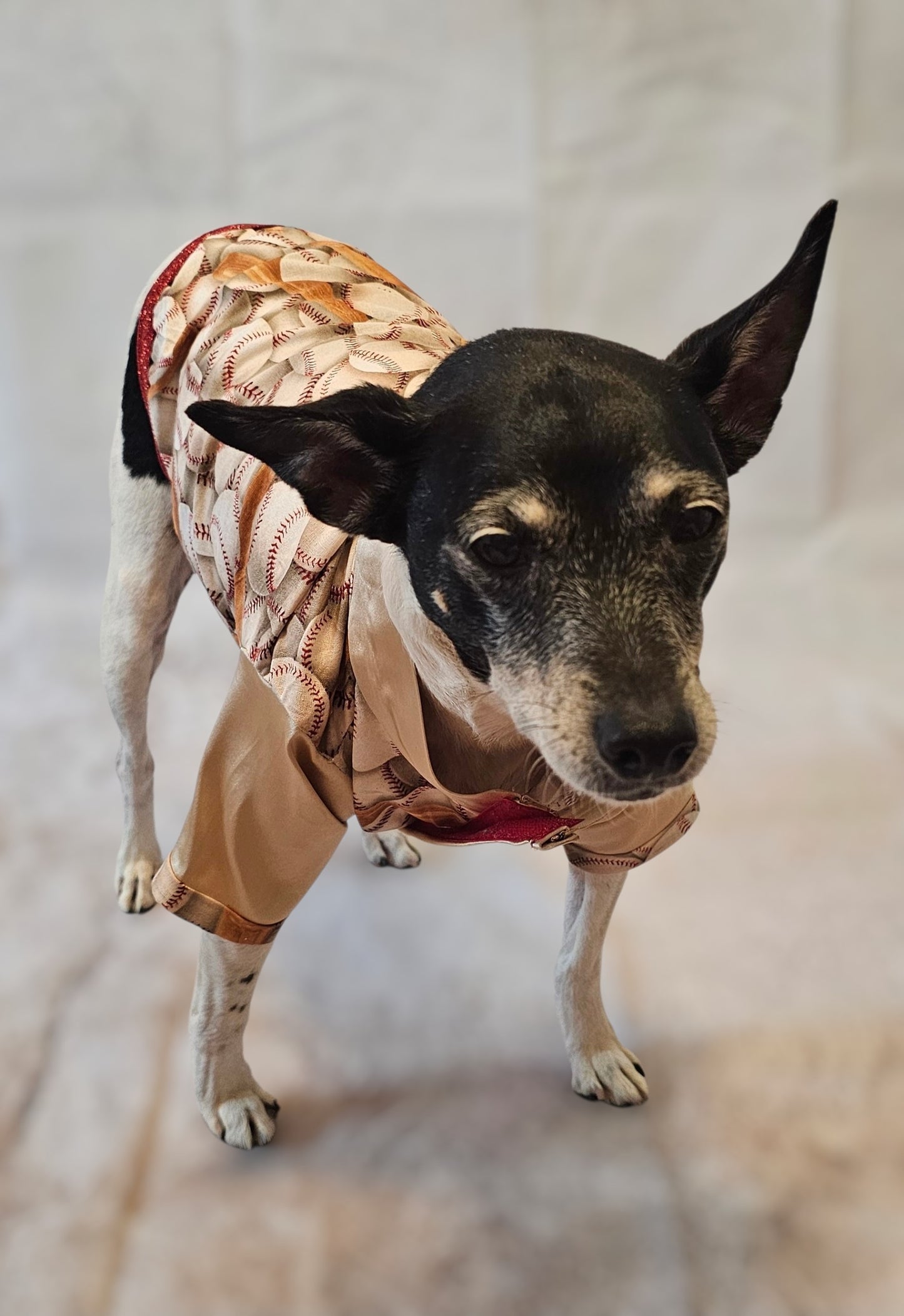 Baseball print glitter pet shirt, baseball dog shirt