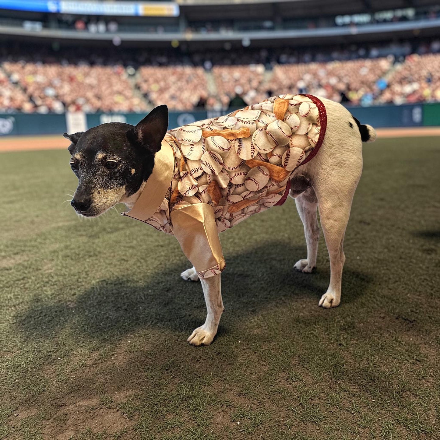 Baseball print glitter pet shirt, baseball dog shirt