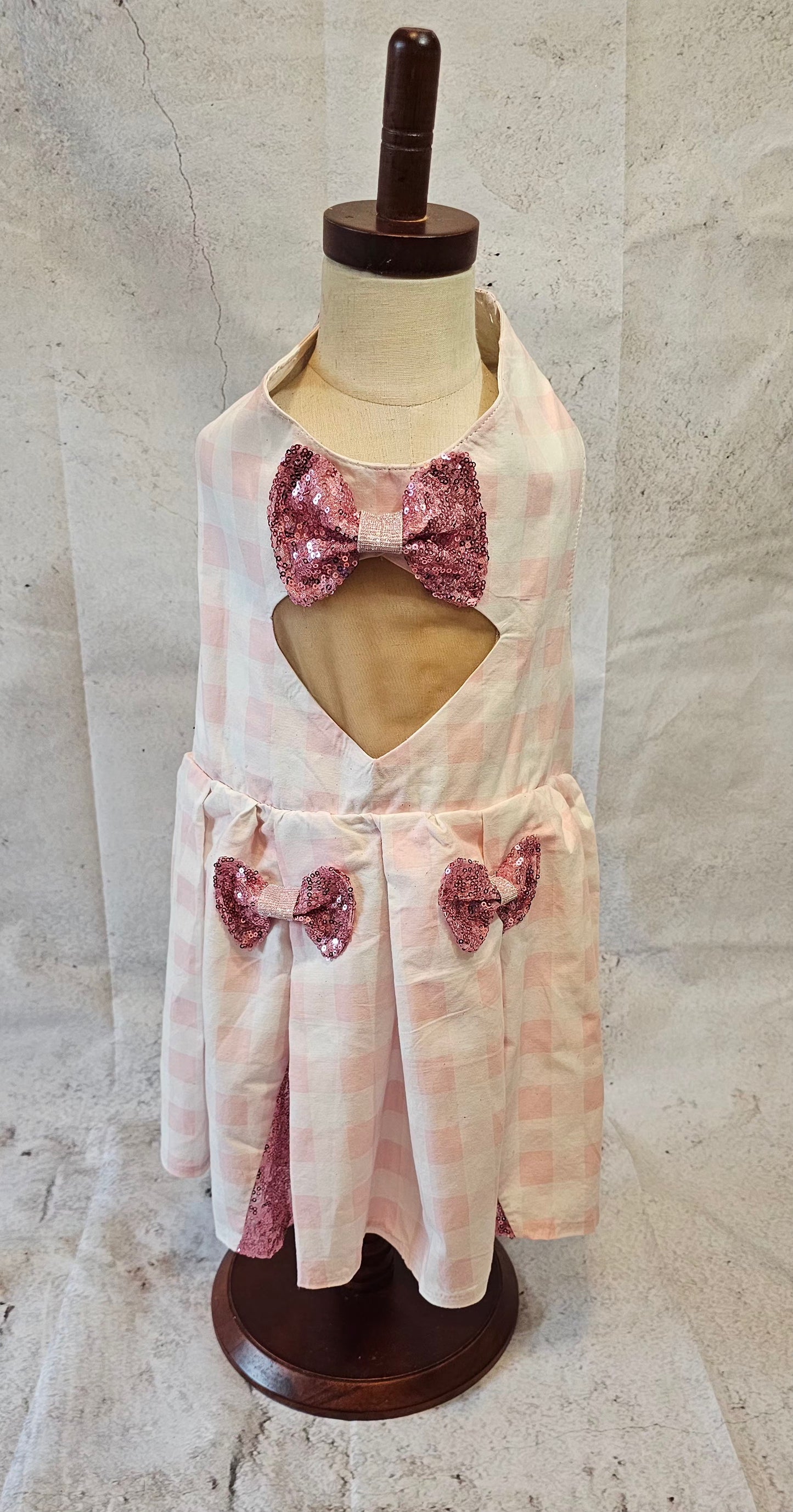 Pink gingham pet dress, megan moroney replica pet dress