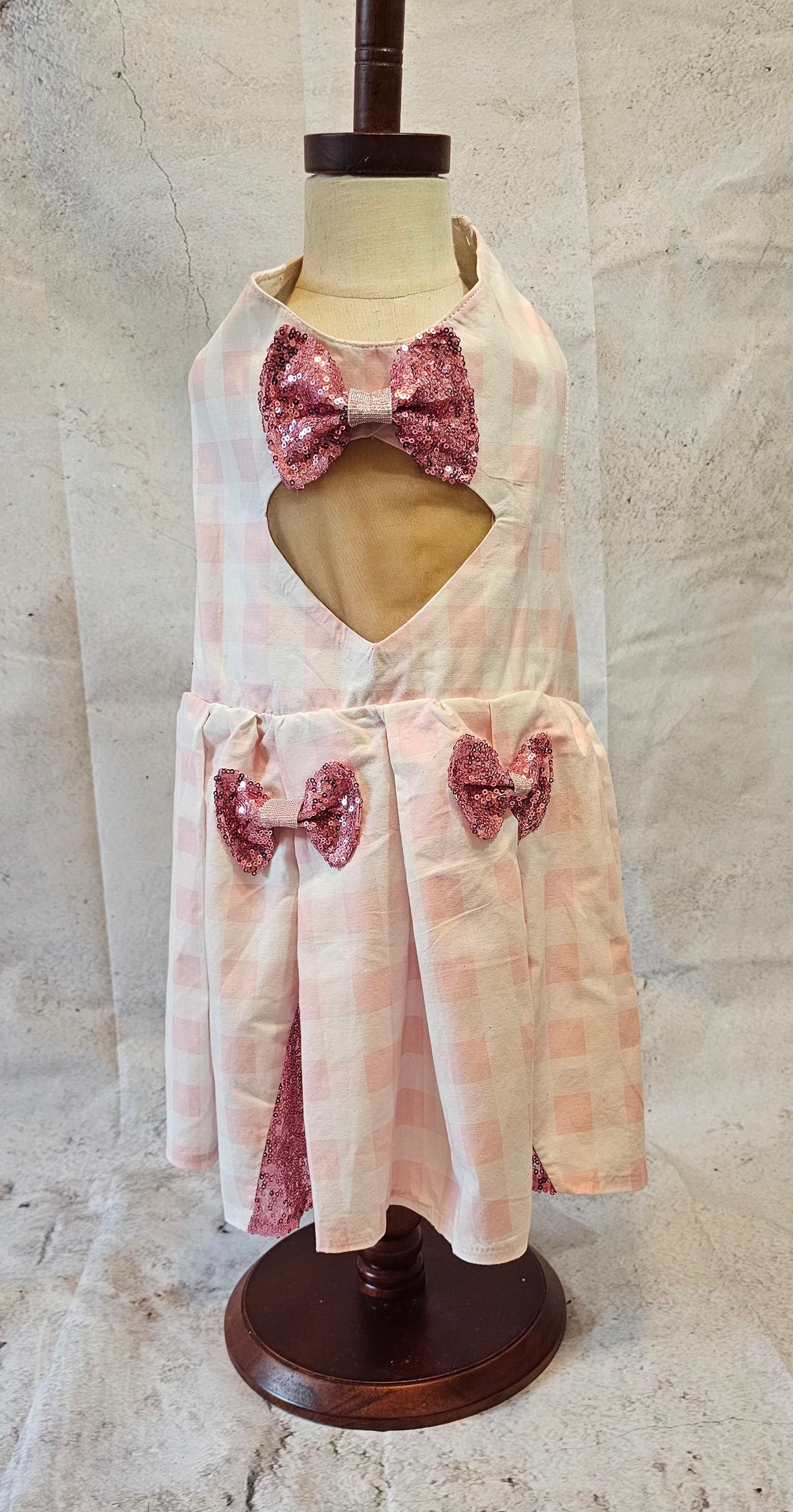 Pink gingham pet dress, megan moroney replica pet dress