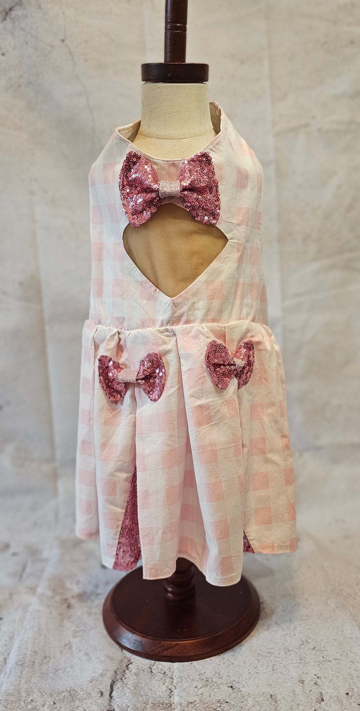 Pink gingham pet dress, megan moroney replica pet dress