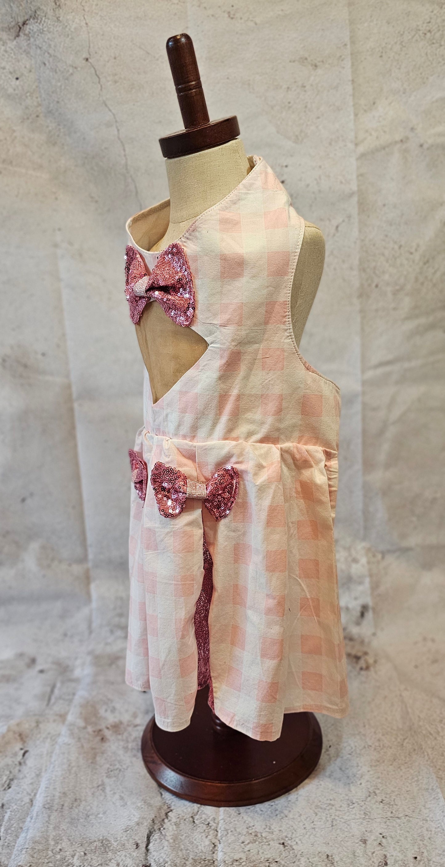 Pink gingham pet dress, megan moroney replica pet dress