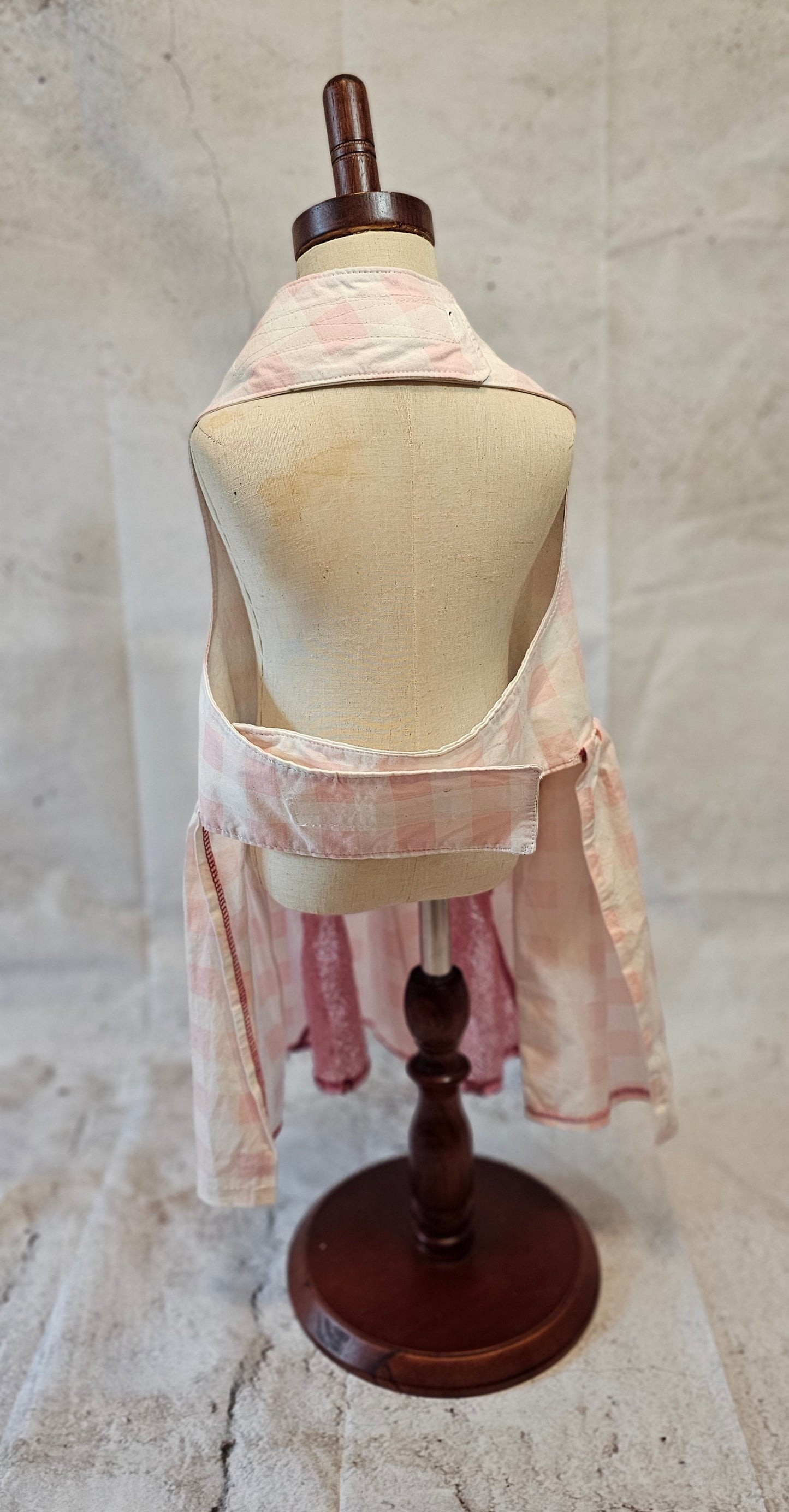 Pink gingham pet dress, megan moroney replica pet dress