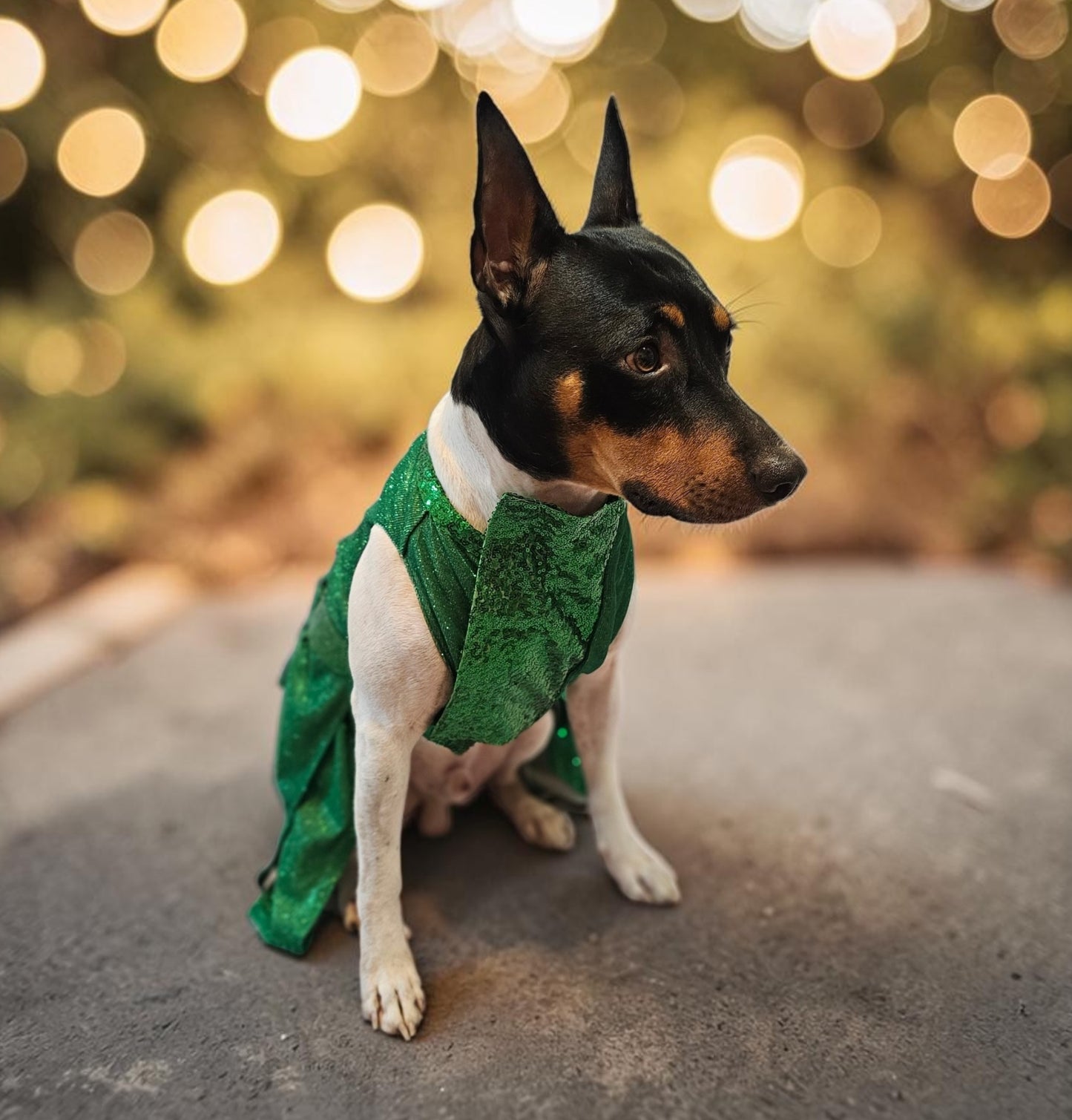 Glitter metallic lurex bridesmaid pet dress, special occasion dog dress