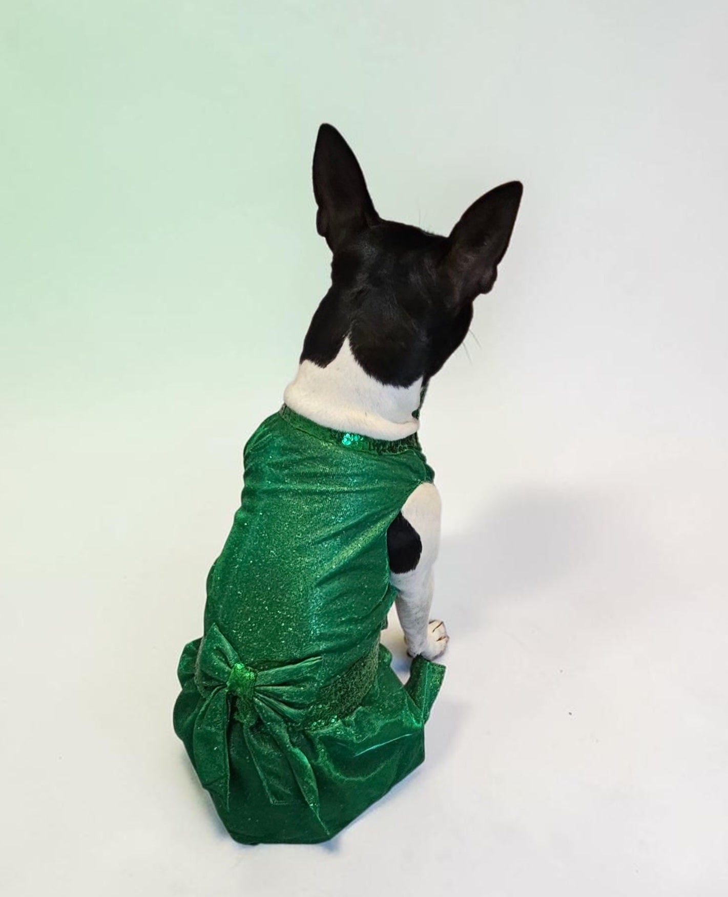 Glitter metallic lurex bridesmaid pet dress, special occasion dog dress