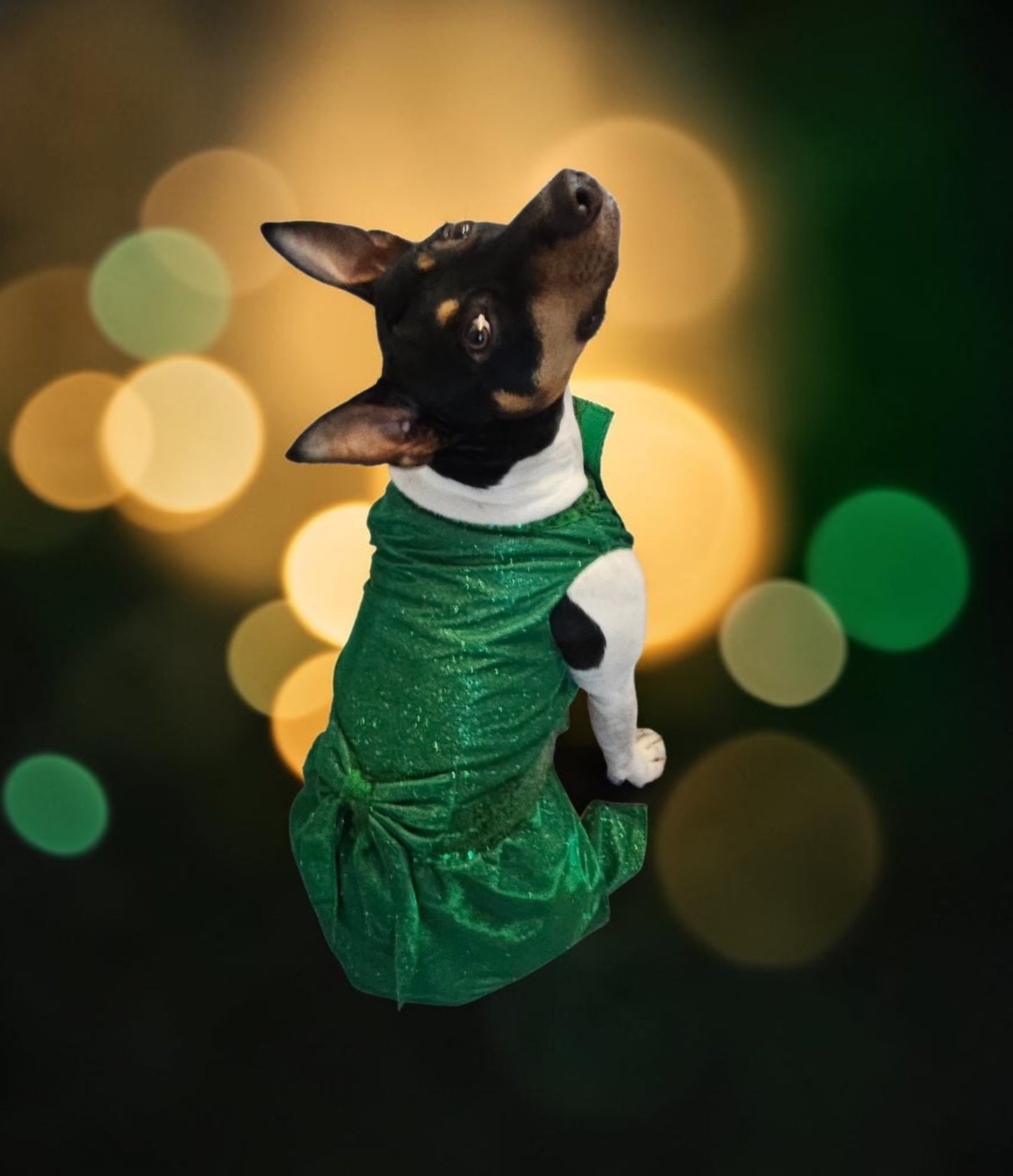 Glitter metallic lurex bridesmaid pet dress, special occasion dog dress