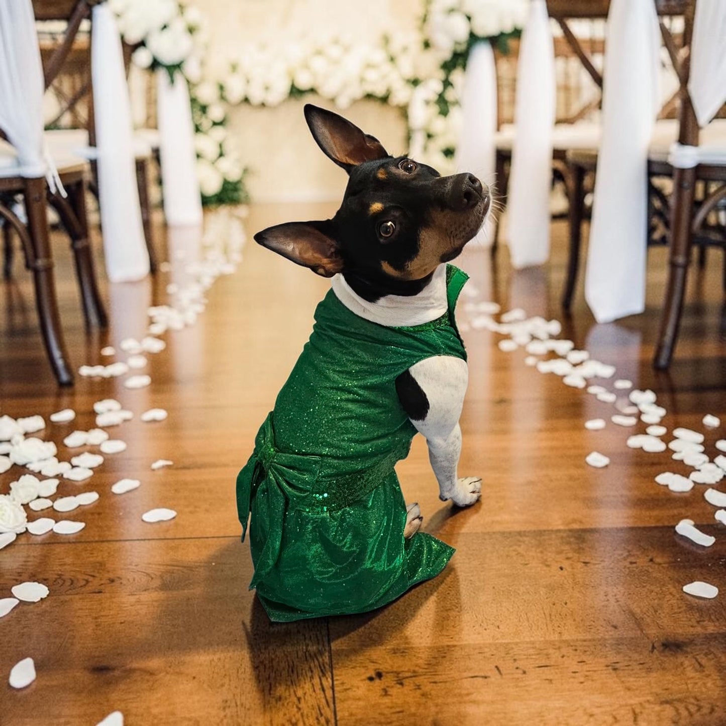 Glitter metallic lurex bridesmaid pet dress, special occasion dog dress