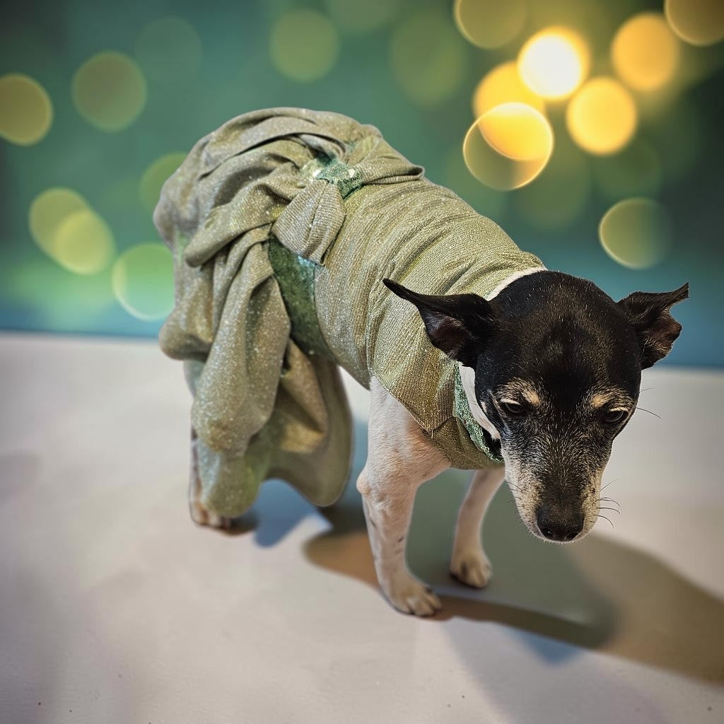 Glitter metallic lurex bridesmaid pet dress, special occasion dog dress