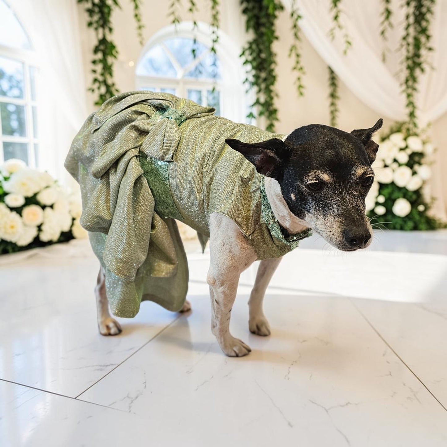 Glitter metallic lurex bridesmaid pet dress, special occasion dog dress