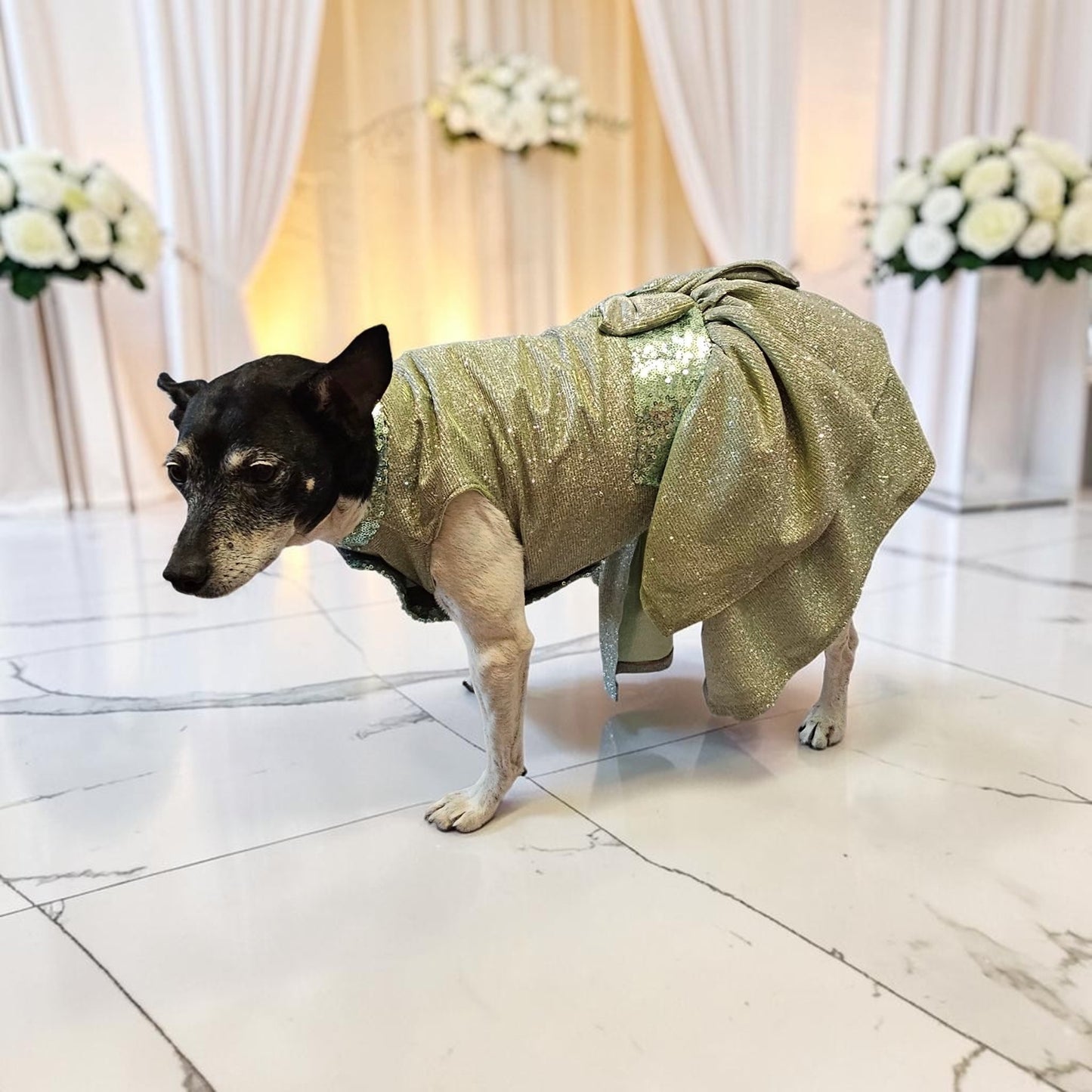 Glitter metallic lurex bridesmaid pet dress, special occasion dog dress