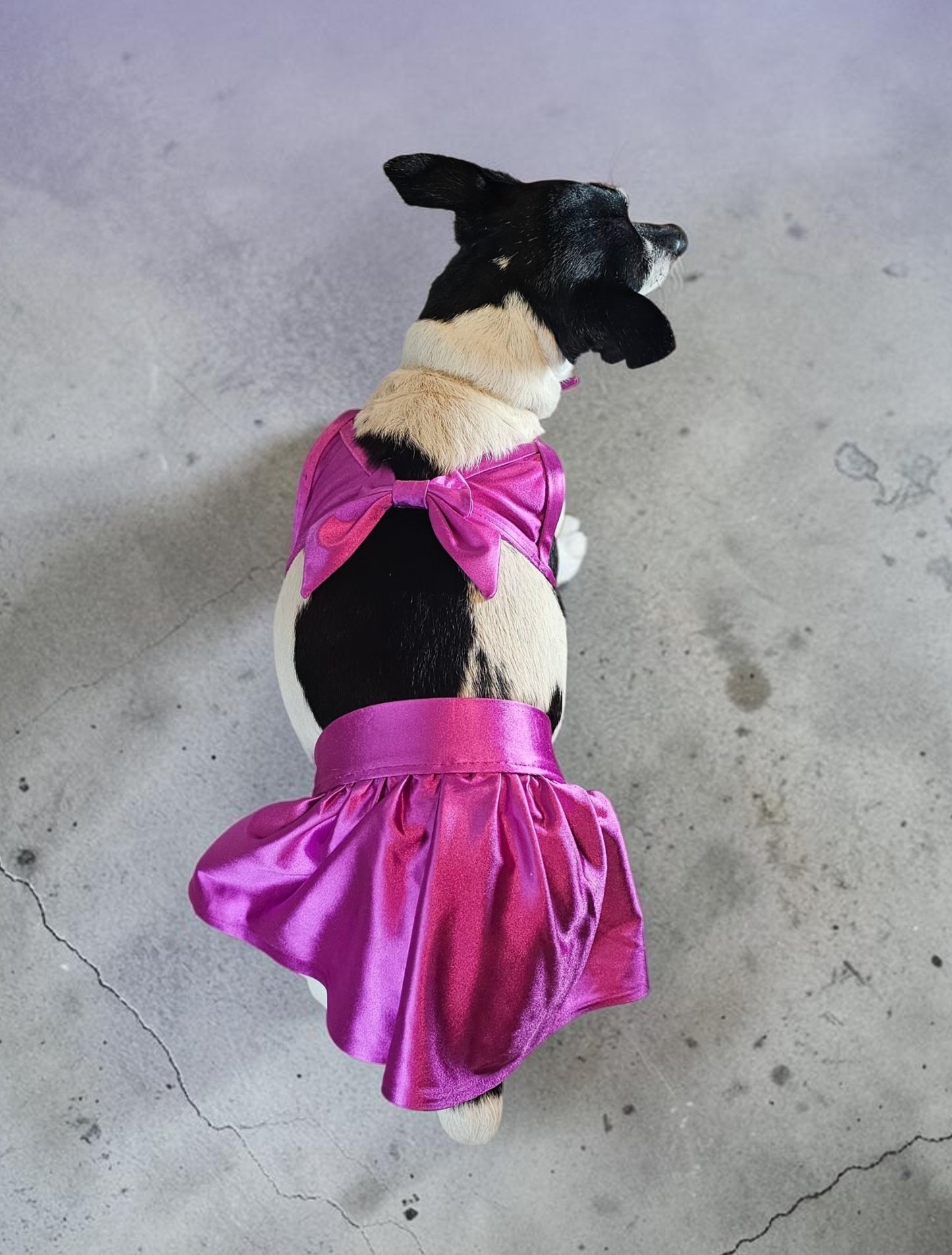 Swimsuit for pets, pet bathing suits, 2-piece pet bathing suit with skirt