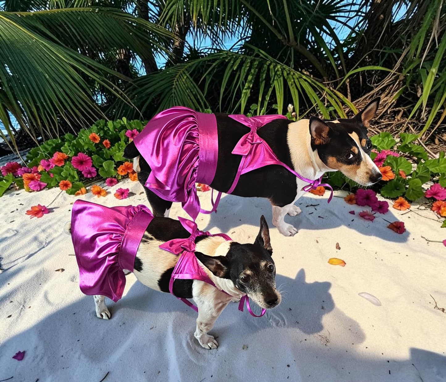 Swimsuit for pets, pet bathing suits, 2-piece pet bathing suit with skirt