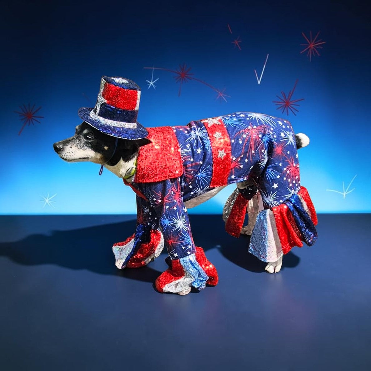 July 4th pet costume, Red, white, and blue pet costume, July 4th pet suit