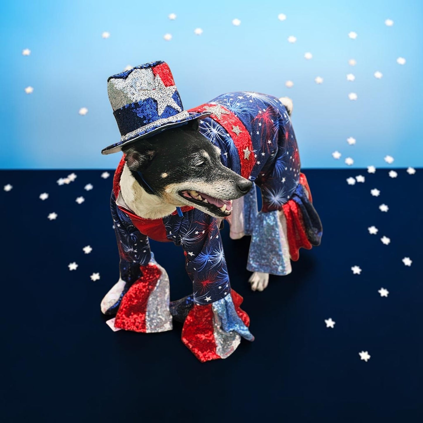 July 4th pet costume, Red, white, and blue pet costume, July 4th pet suit