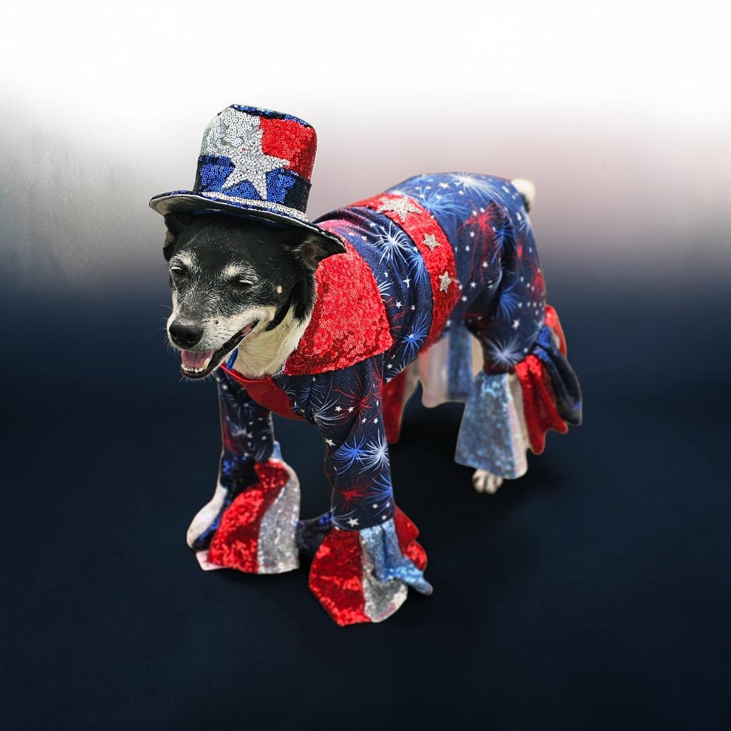 July 4th pet costume, Red, white, and blue pet costume, July 4th pet suit