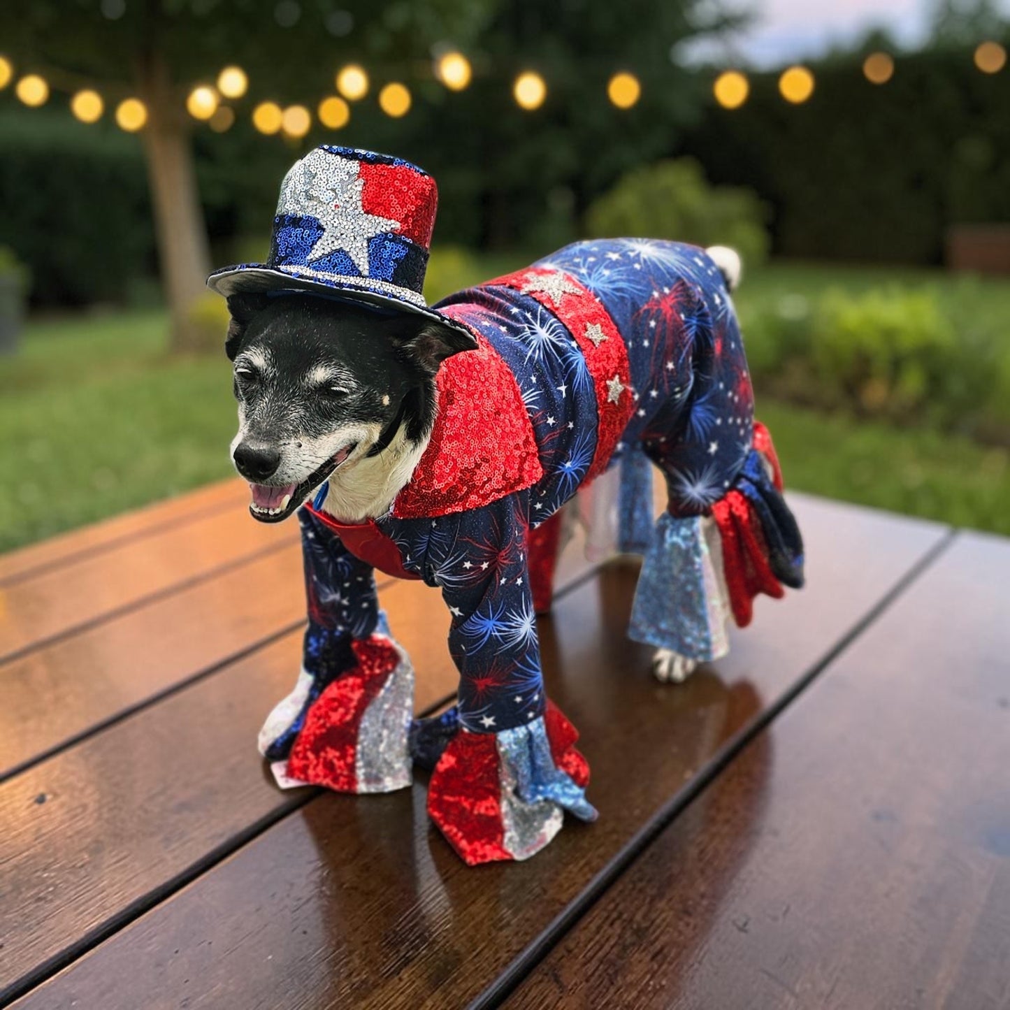 July 4th pet costume, Red, white, and blue pet costume, July 4th pet suit