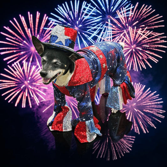 July 4th pet costume, Red, white, and blue pet costume, July 4th pet suit
