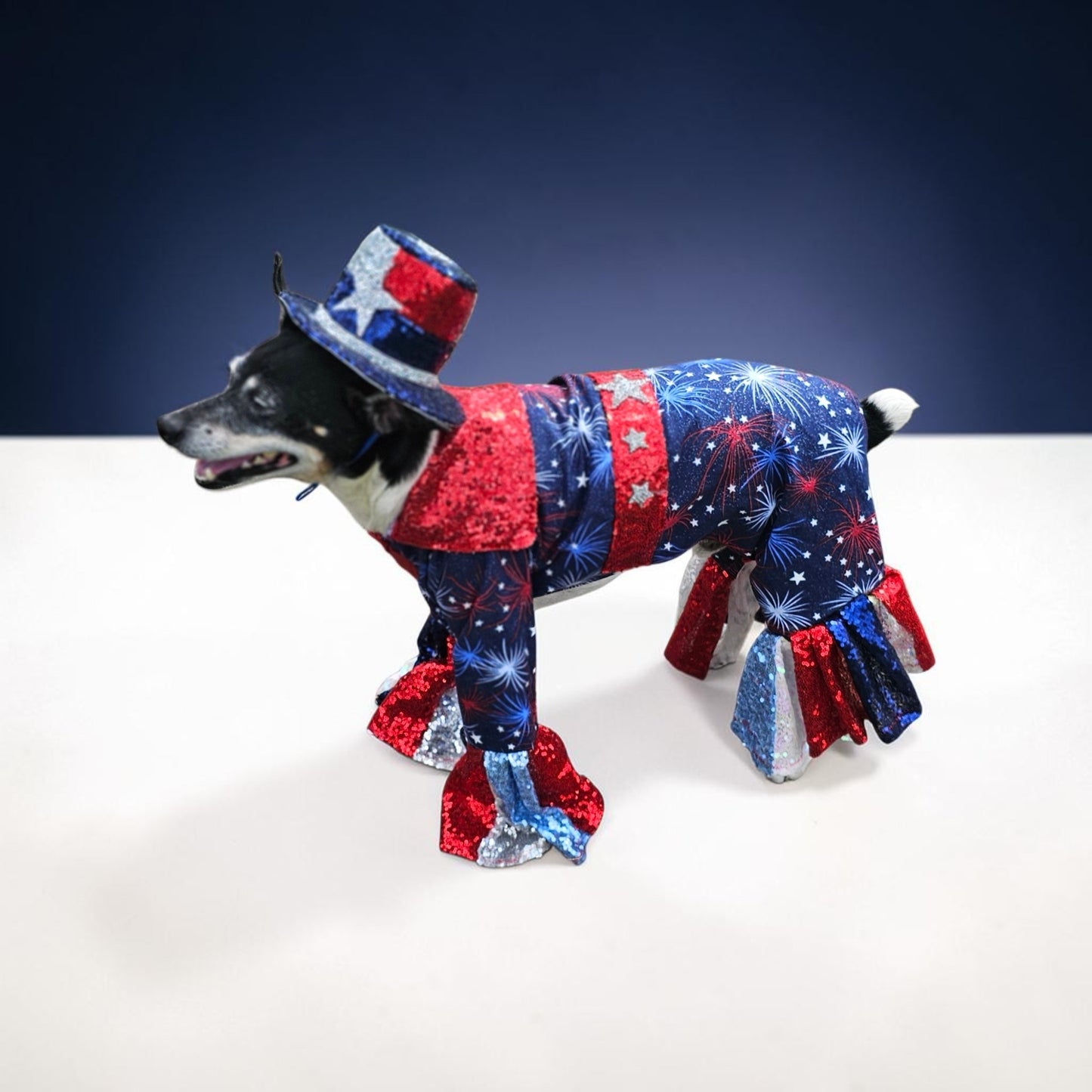 July 4th pet costume, Red, white, and blue pet costume, July 4th pet suit