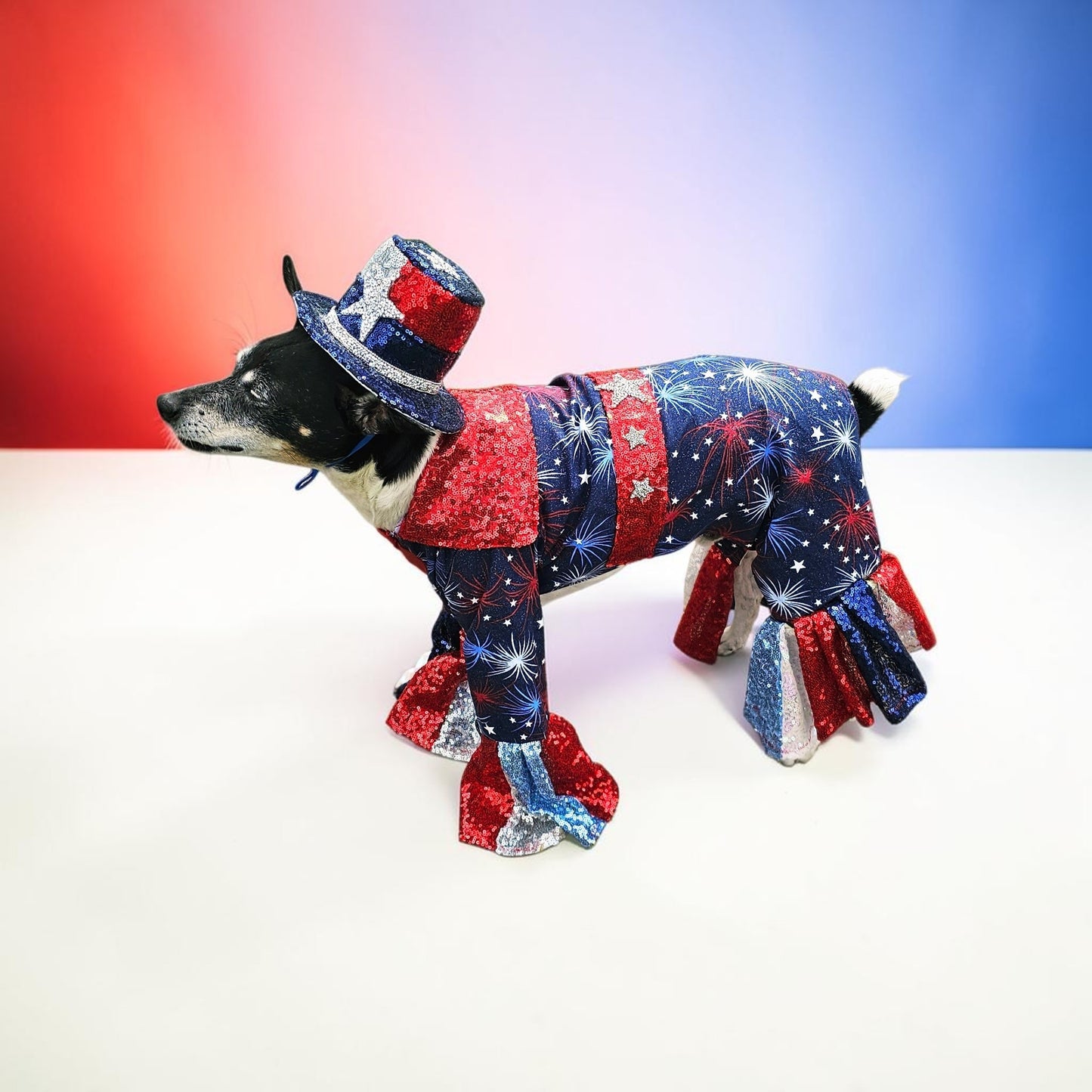 July 4th pet costume, Red, white, and blue pet costume, July 4th pet suit