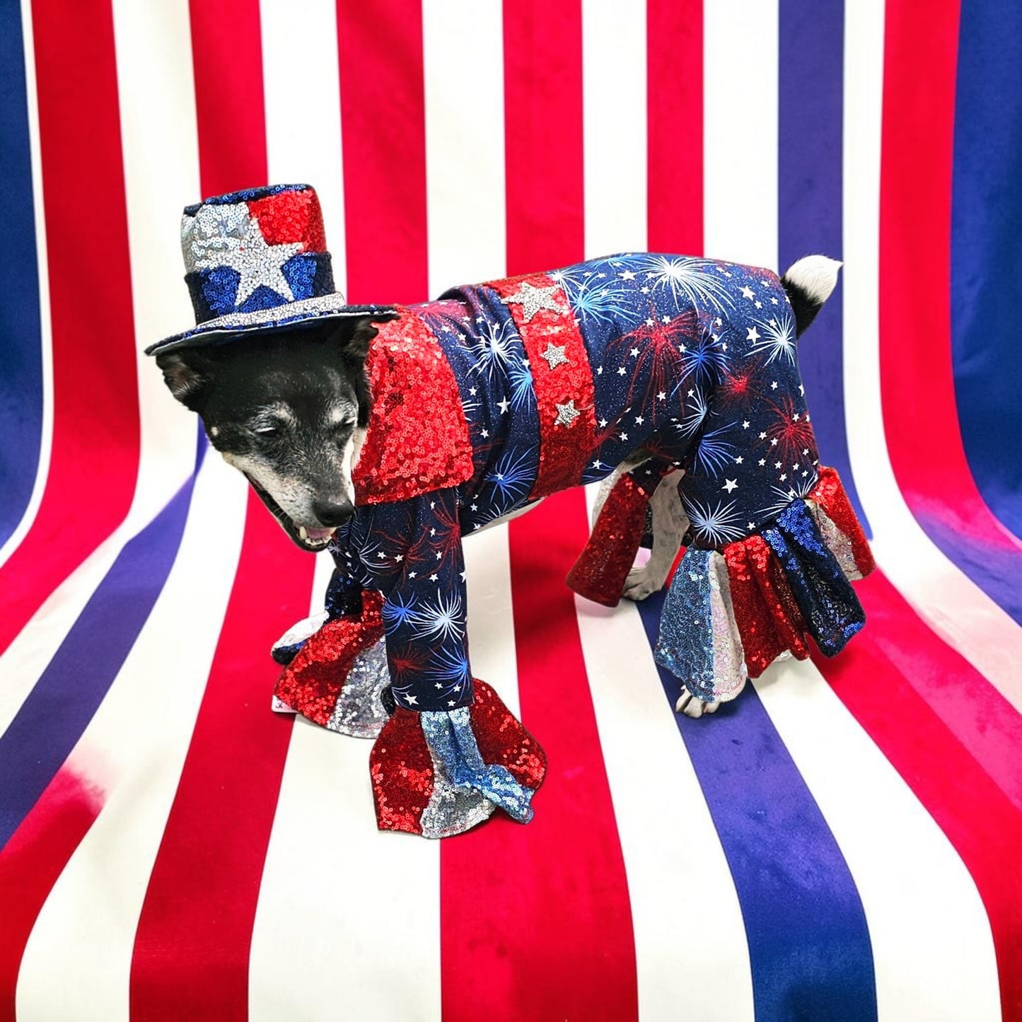 July 4th pet costume, Red, white, and blue pet costume, July 4th pet suit