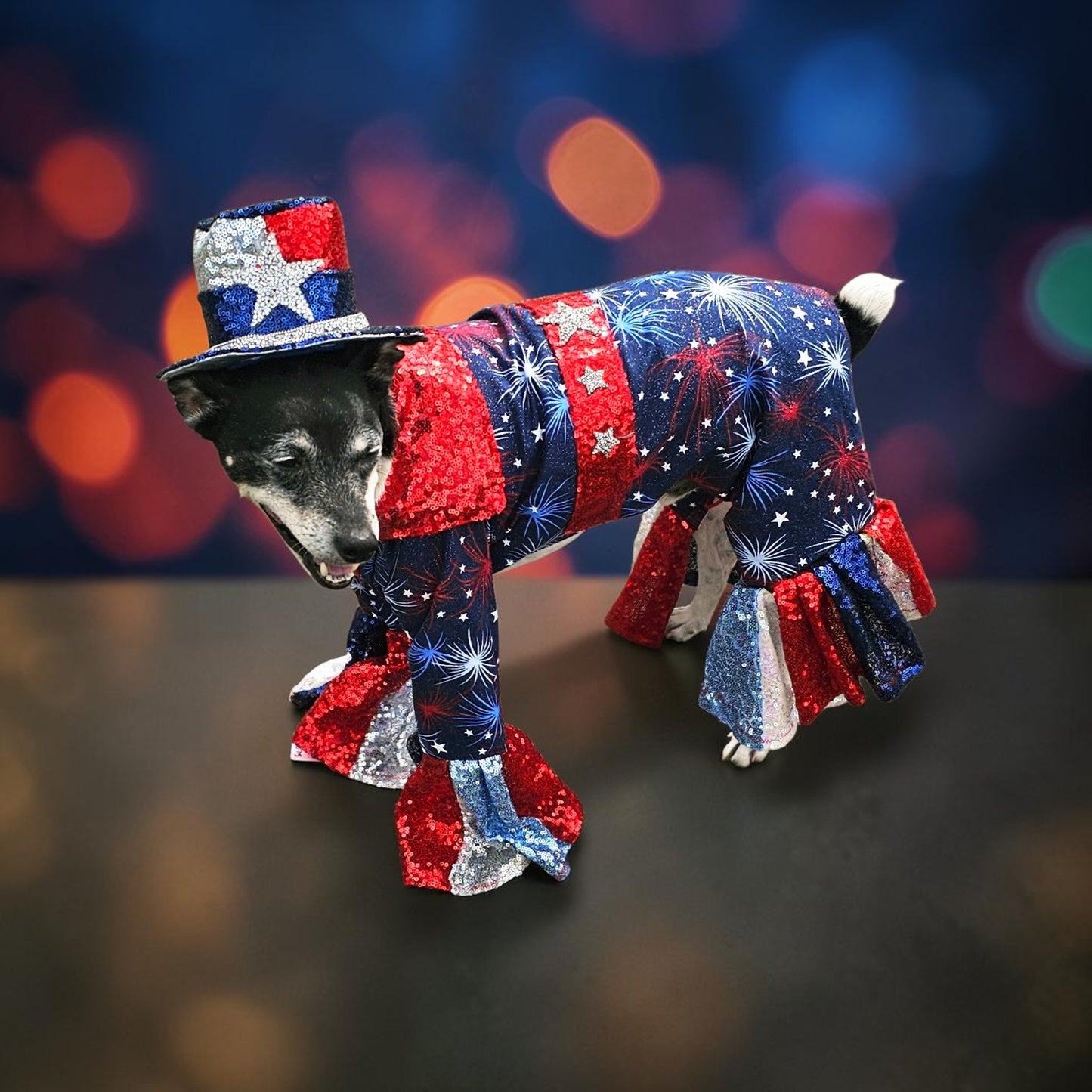 July 4th pet costume, Red, white, and blue pet costume, July 4th pet suit