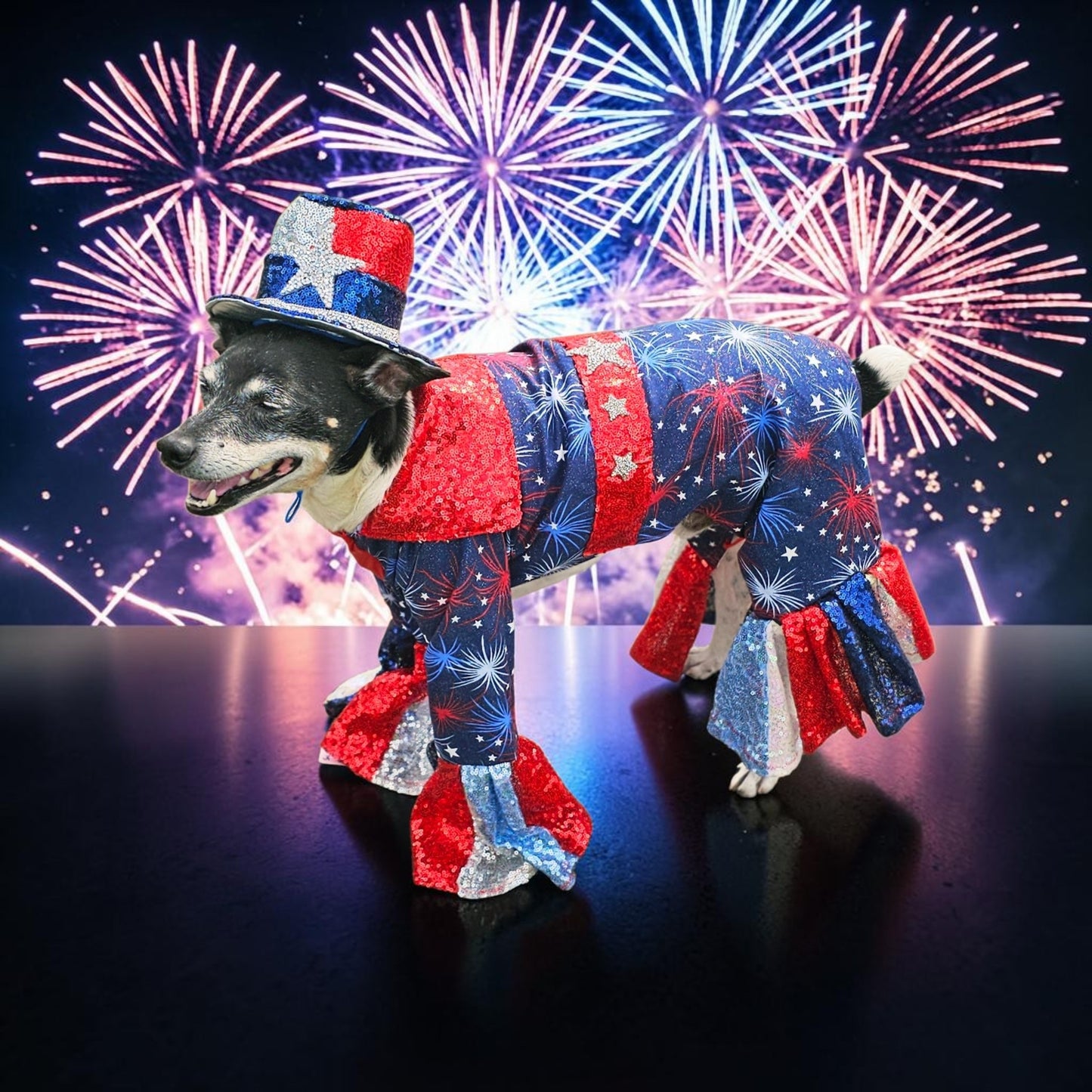 July 4th pet costume, Red, white, and blue pet costume, July 4th pet suit