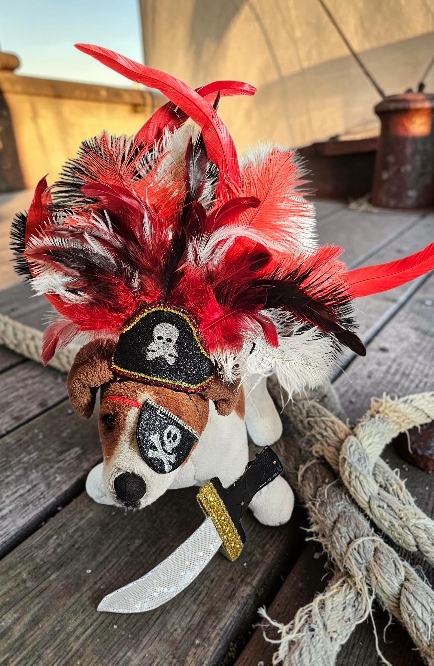 Pet Pirate hat, pet pirate sword, pet pirate patch, pirate pet costume