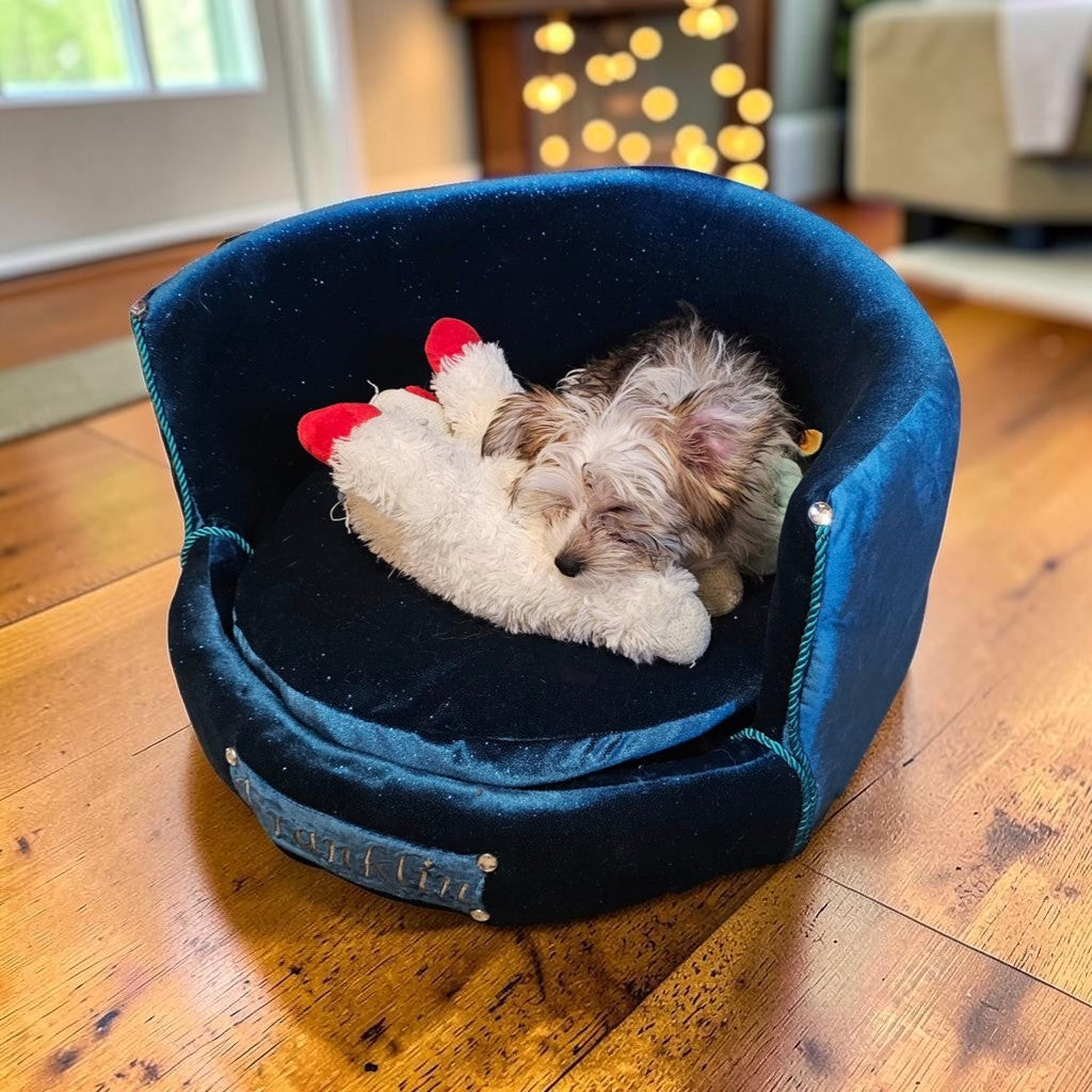 Personalized embroidered glitter round pet bed, custom dog bed