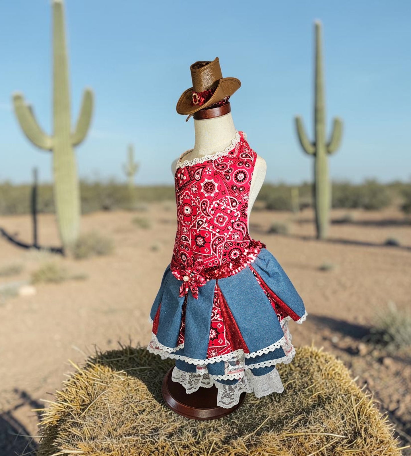 Western cowgirl pet dress, western cowgirl dog dress, western cowgirl cat costume
