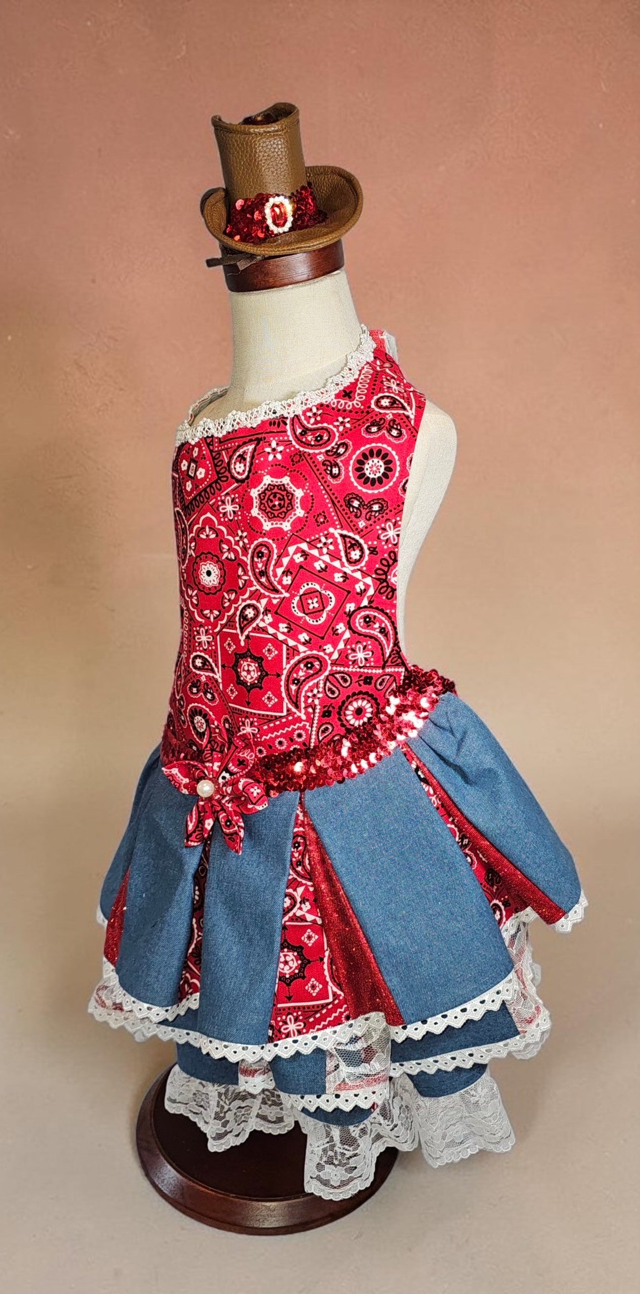 Western cowgirl pet dress, western cowgirl dog dress, western cowgirl cat costume