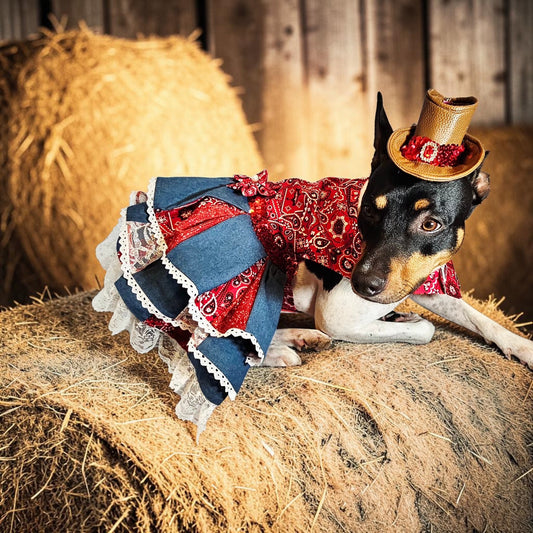 Western cowgirl pet dress, western cowgirl dog dress, western cowgirl cat costume