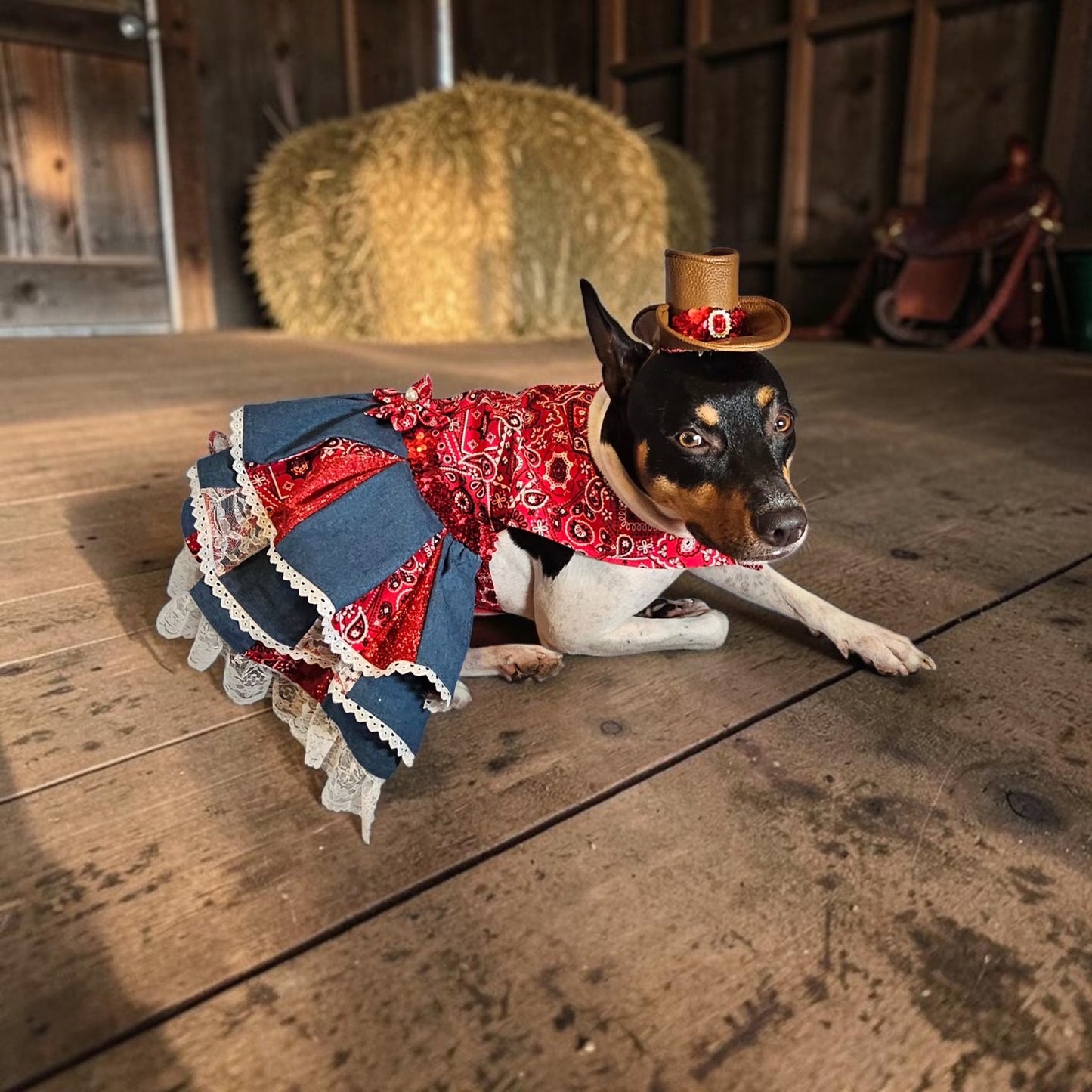 Western cowgirl pet dress, western cowgirl dog dress, western cowgirl cat costume