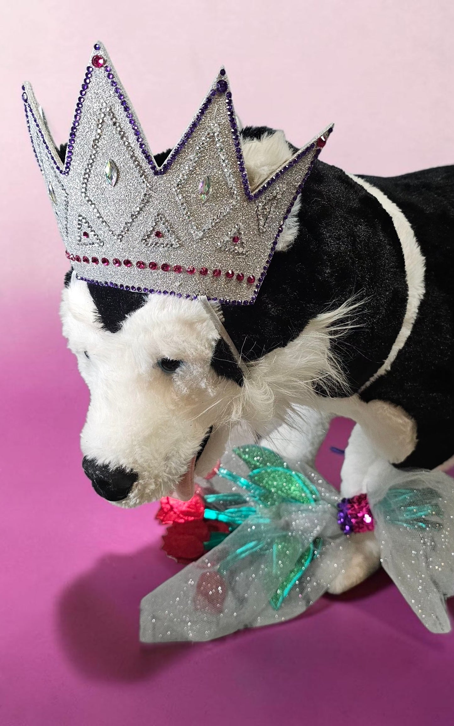 Miss America Pet crown, flowers and sash, dog pageant queen
