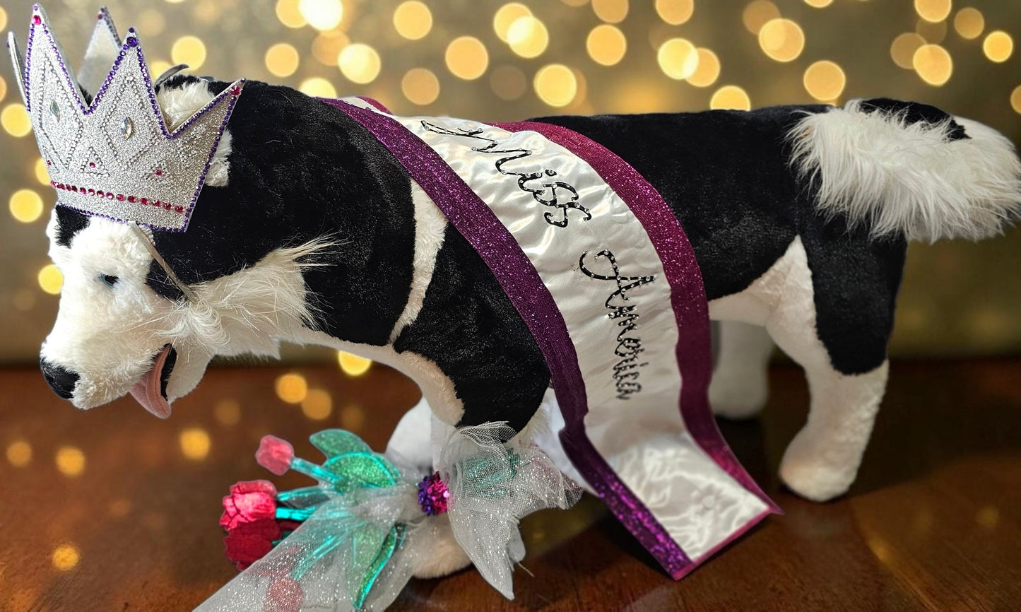 Miss America Pet crown, flowers and sash, dog pageant queen