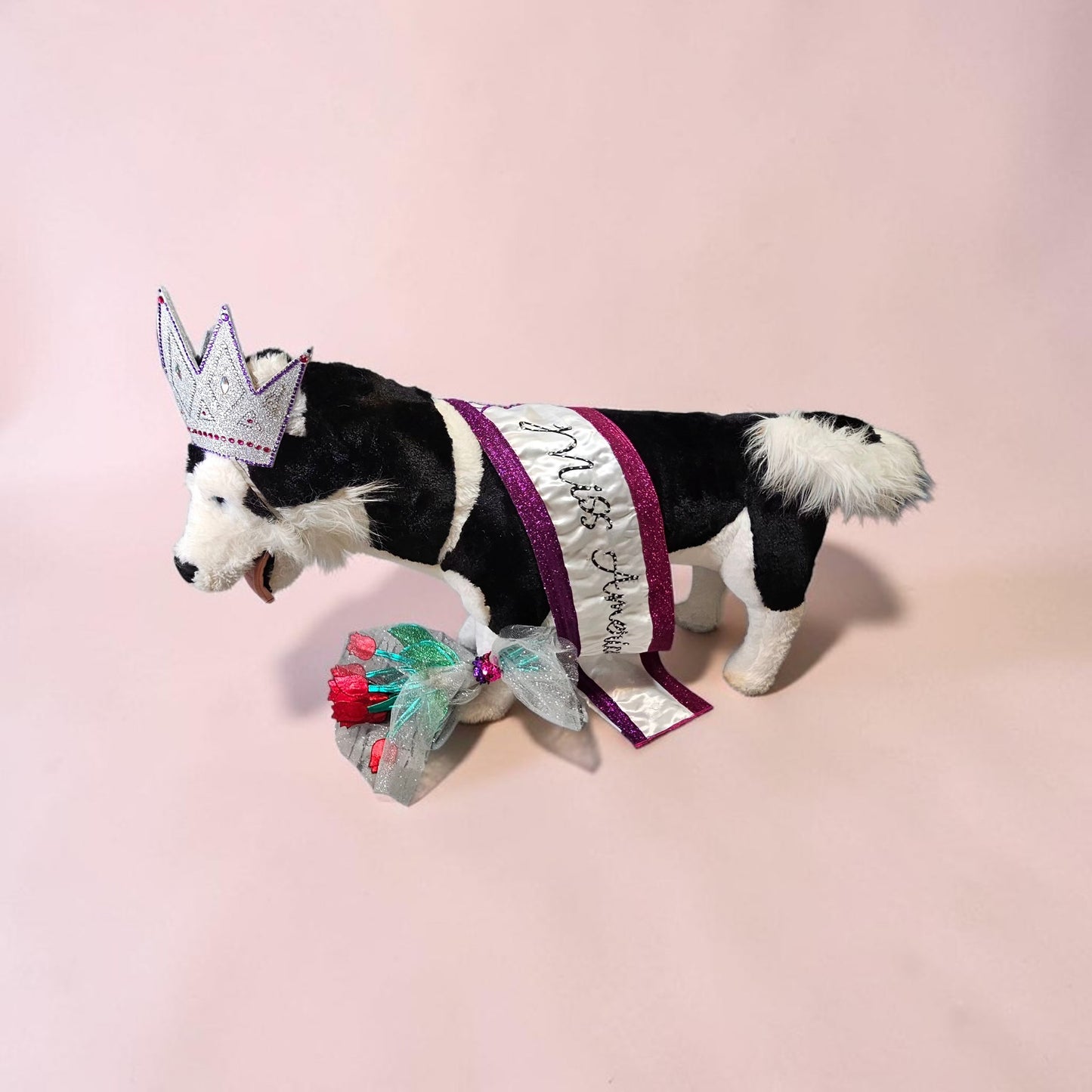 Miss America Pet crown, flowers and sash, dog pageant queen