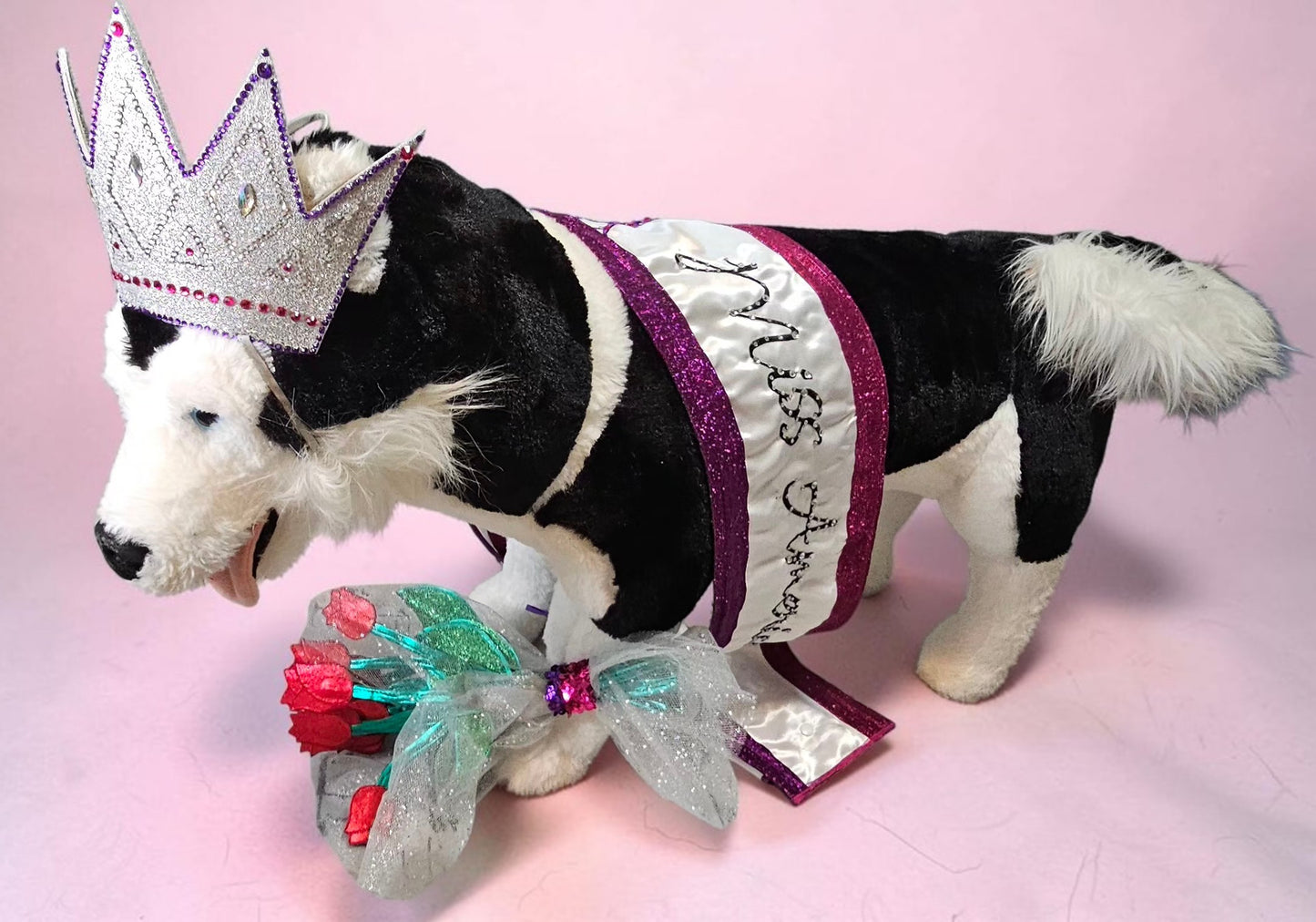 Miss America Pet crown, flowers and sash, dog pageant queen