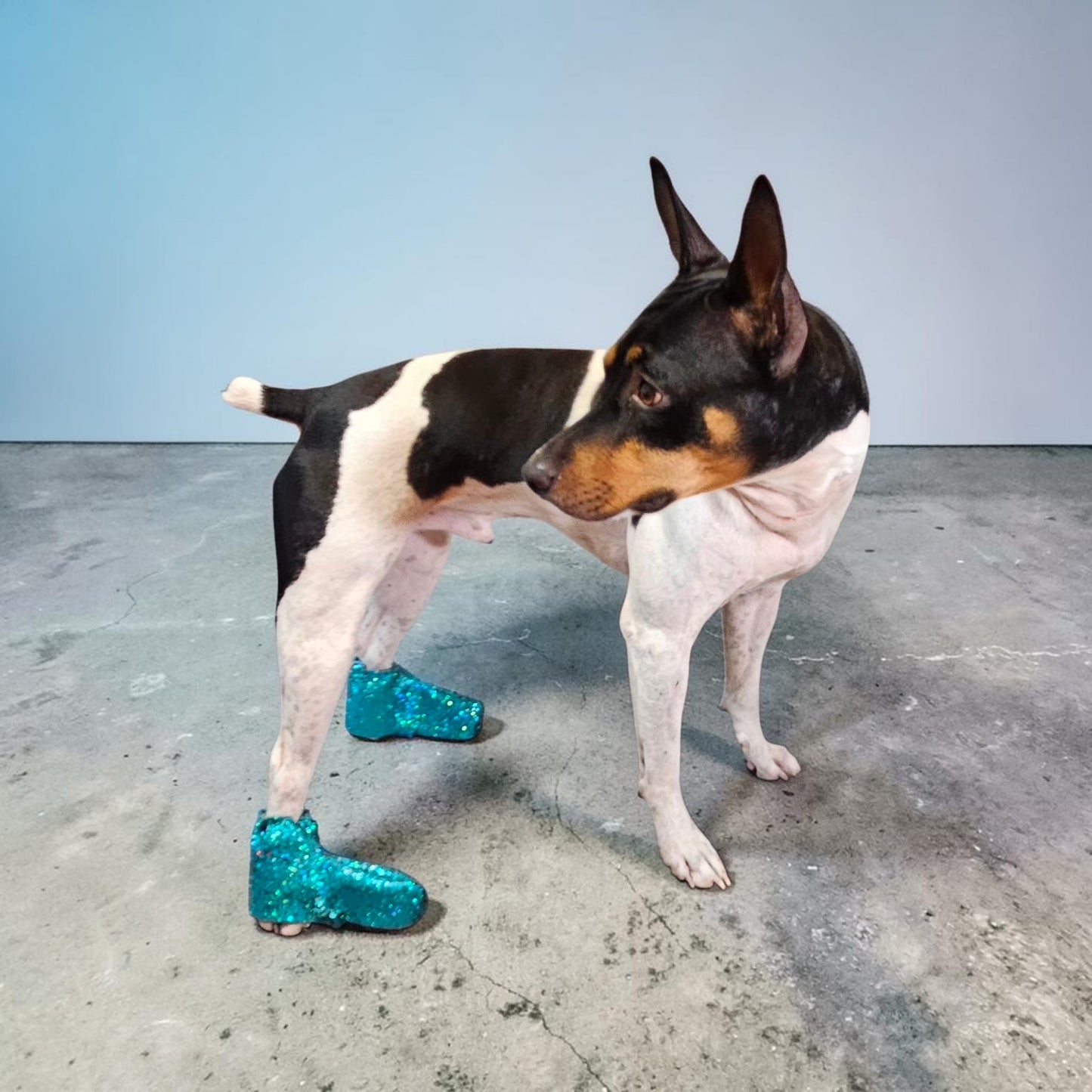 Glitter pet boots, dog boots, couture pet boots