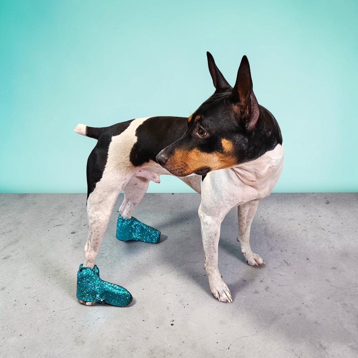 Glitter pet boots, dog boots, couture pet boots
