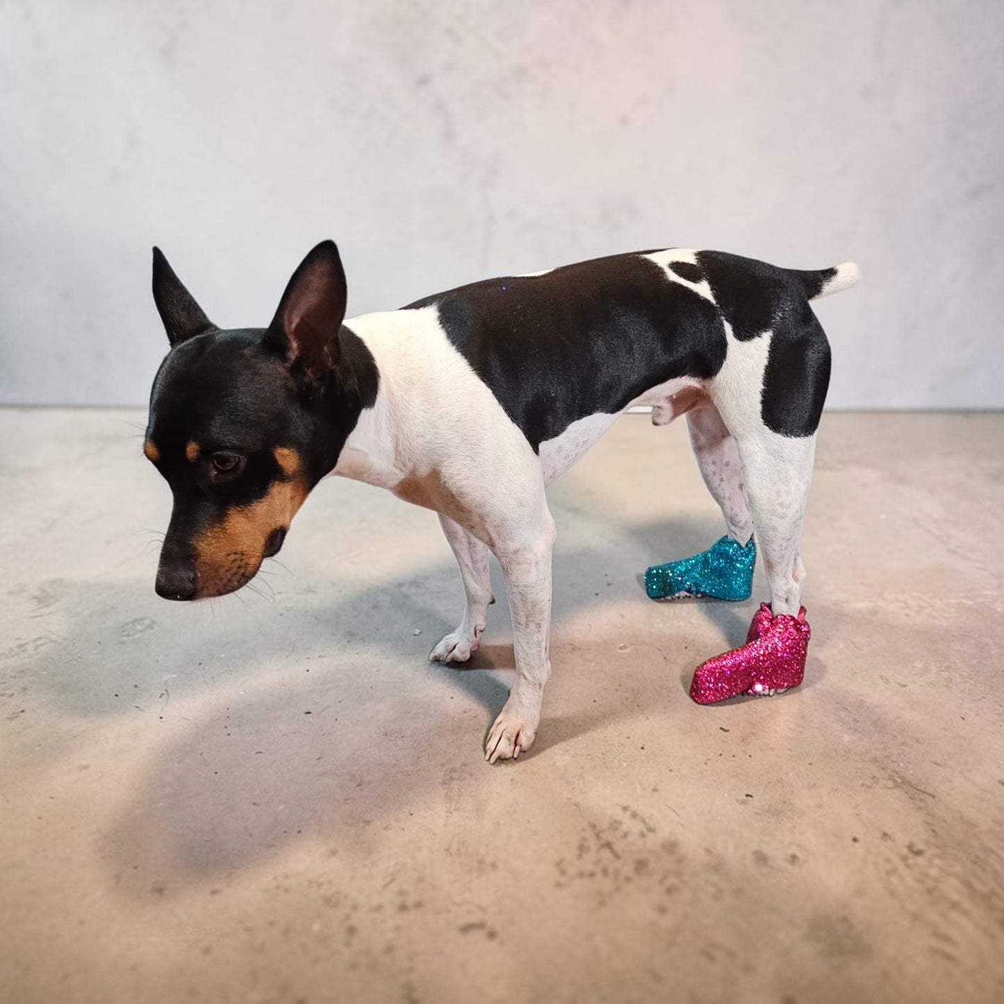 Glitter pet boots, dog boots, couture pet boots