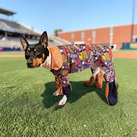 Houston Astros pet suit, Astros sequin dog suit, Astros glitter pet suit