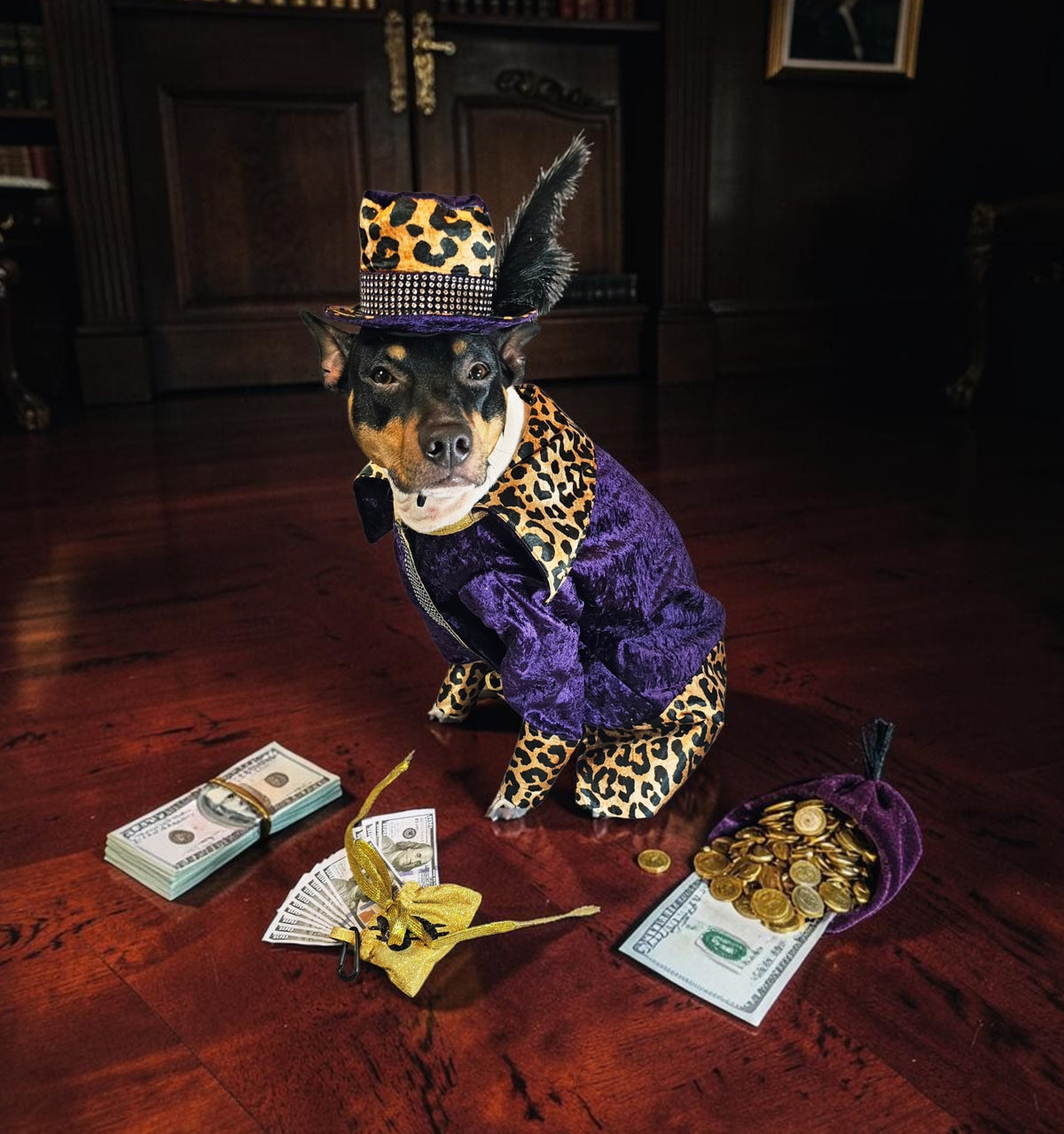Pimp pet costume, pimp dog costume, gangster pet costume, gangster dog suit
