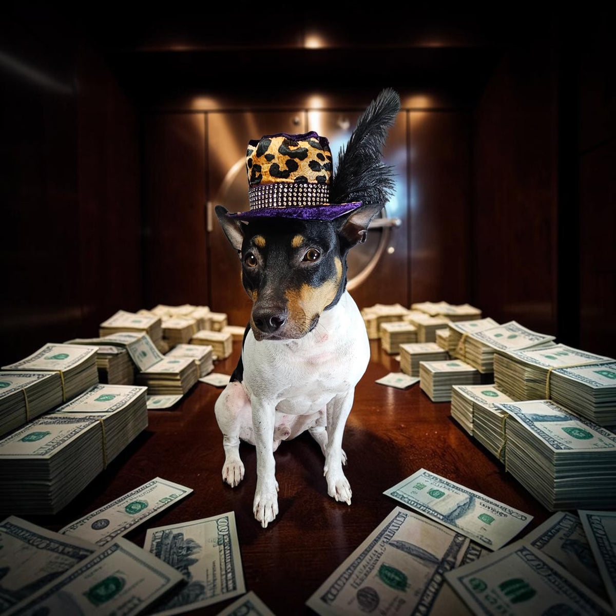 Pimp pet hat, pimp dog hat, gangster pet hat, gangster dog hat, pet pimp hat, pimp cat hat, dog gangster hat, pimp feather pet hat