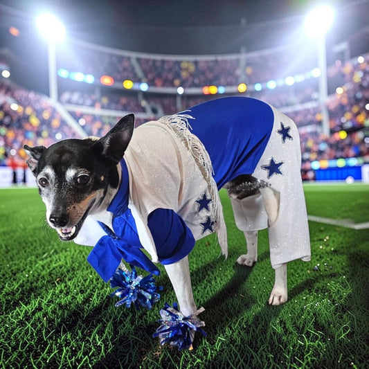 Dallas Cowboy dog cheerleader, cowboy cat cheerleader, DCC Pet costume