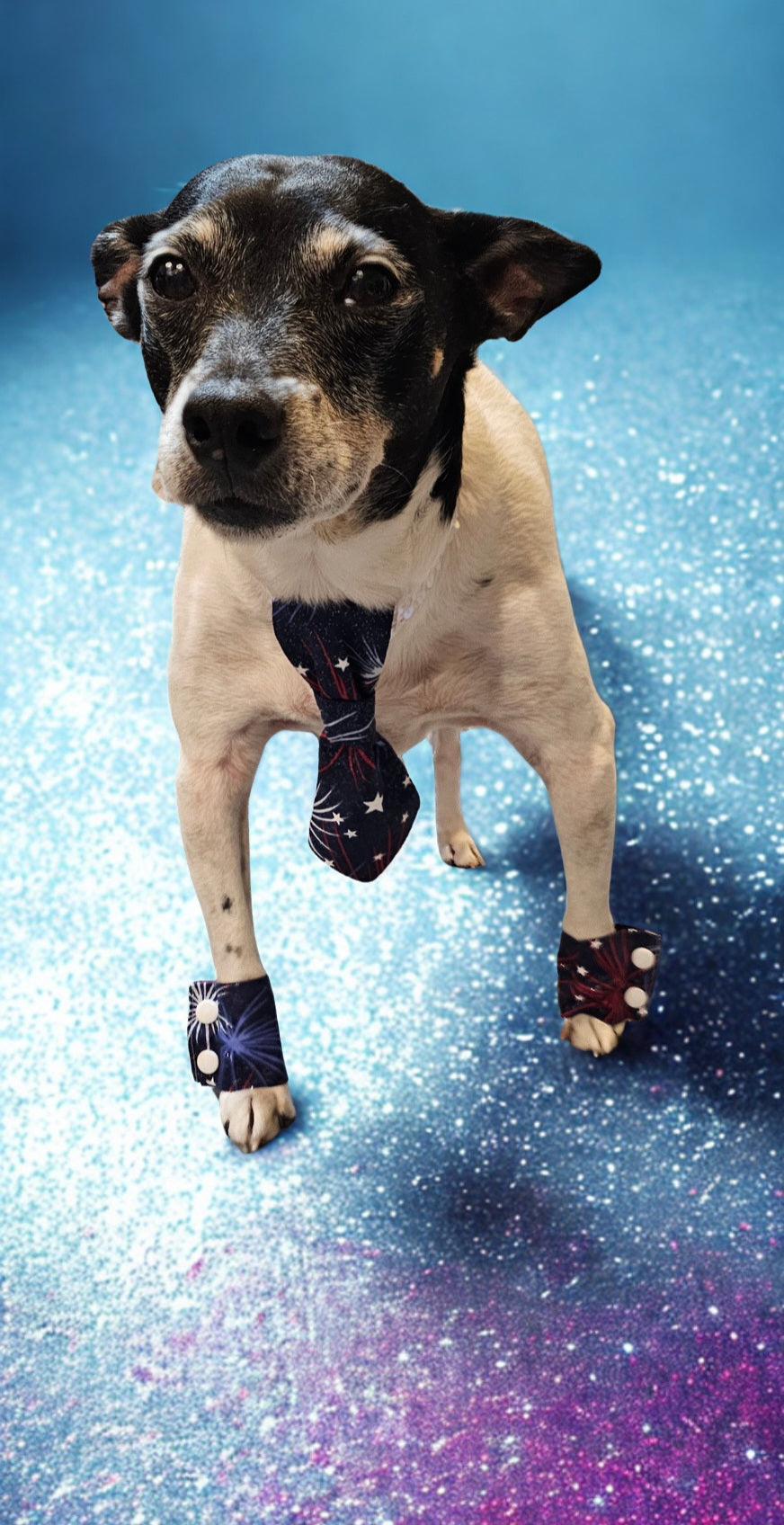 Patriotic Pet Tie and cuffs, Tie and cuffs for pets