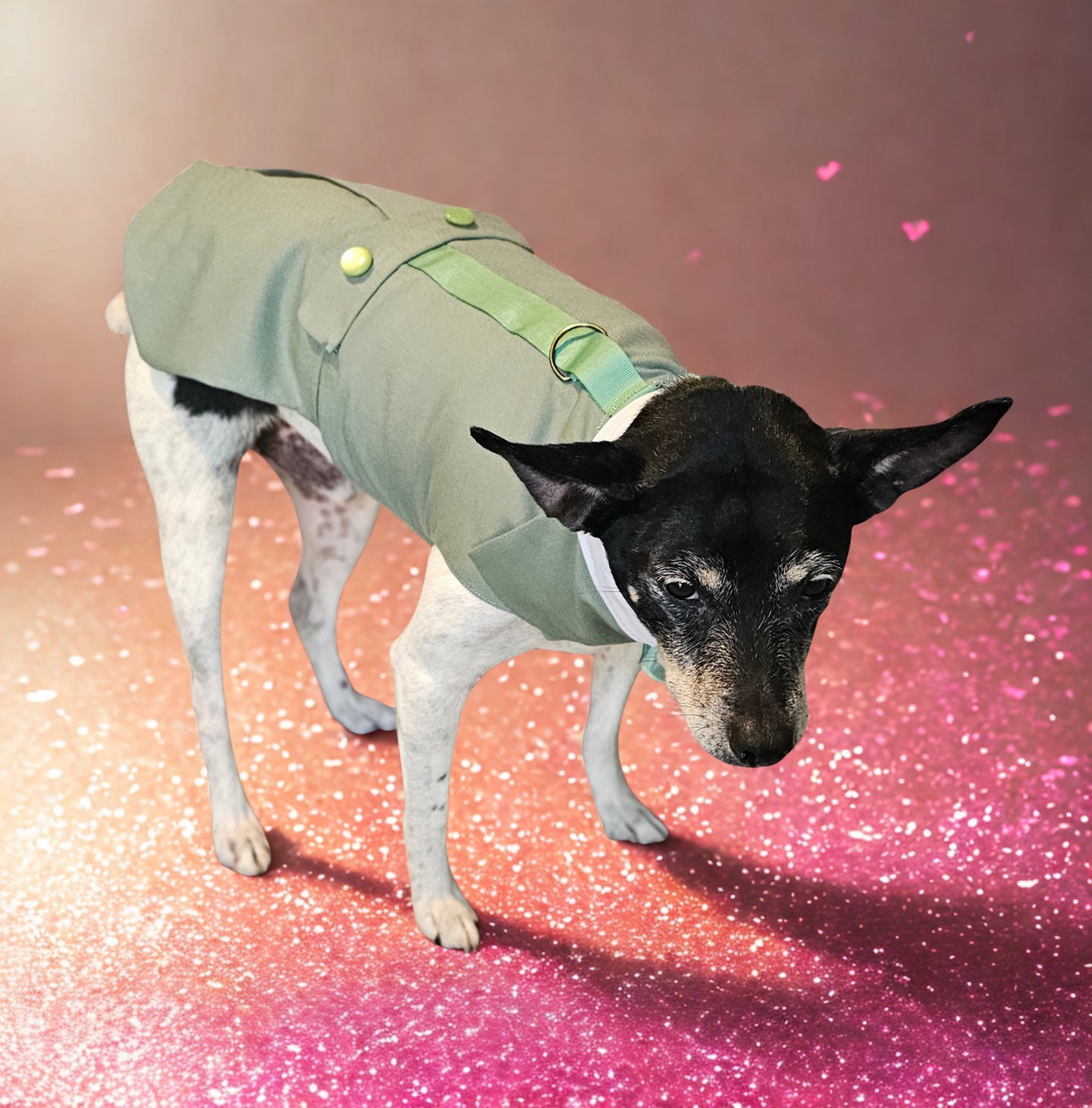 Pet wedding tuxedo costume, vest and bow-tie bandana set for pets