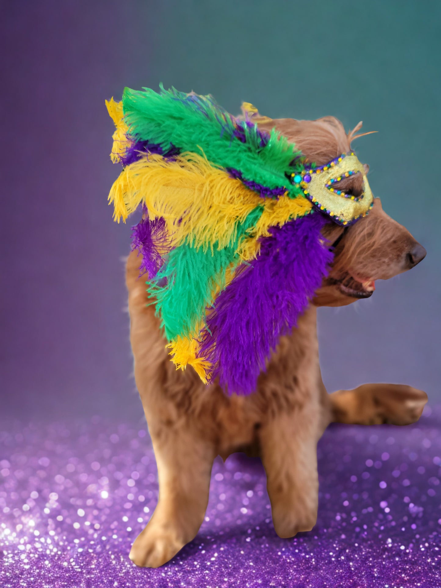 Mardi Gras Pet Masks, Mardi Gras Dog Mask, Fat Tuesday pet, feather pet mask