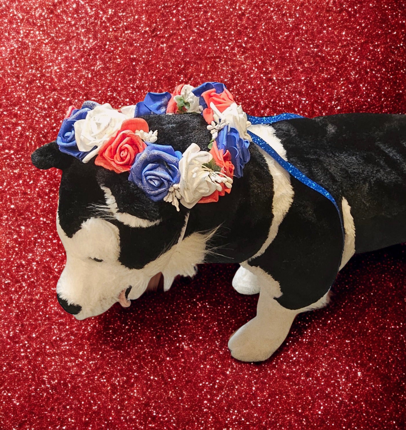 Flower crown for pets, pet flower chaplets, flower head wreath for pets, patriotic flower crown pets