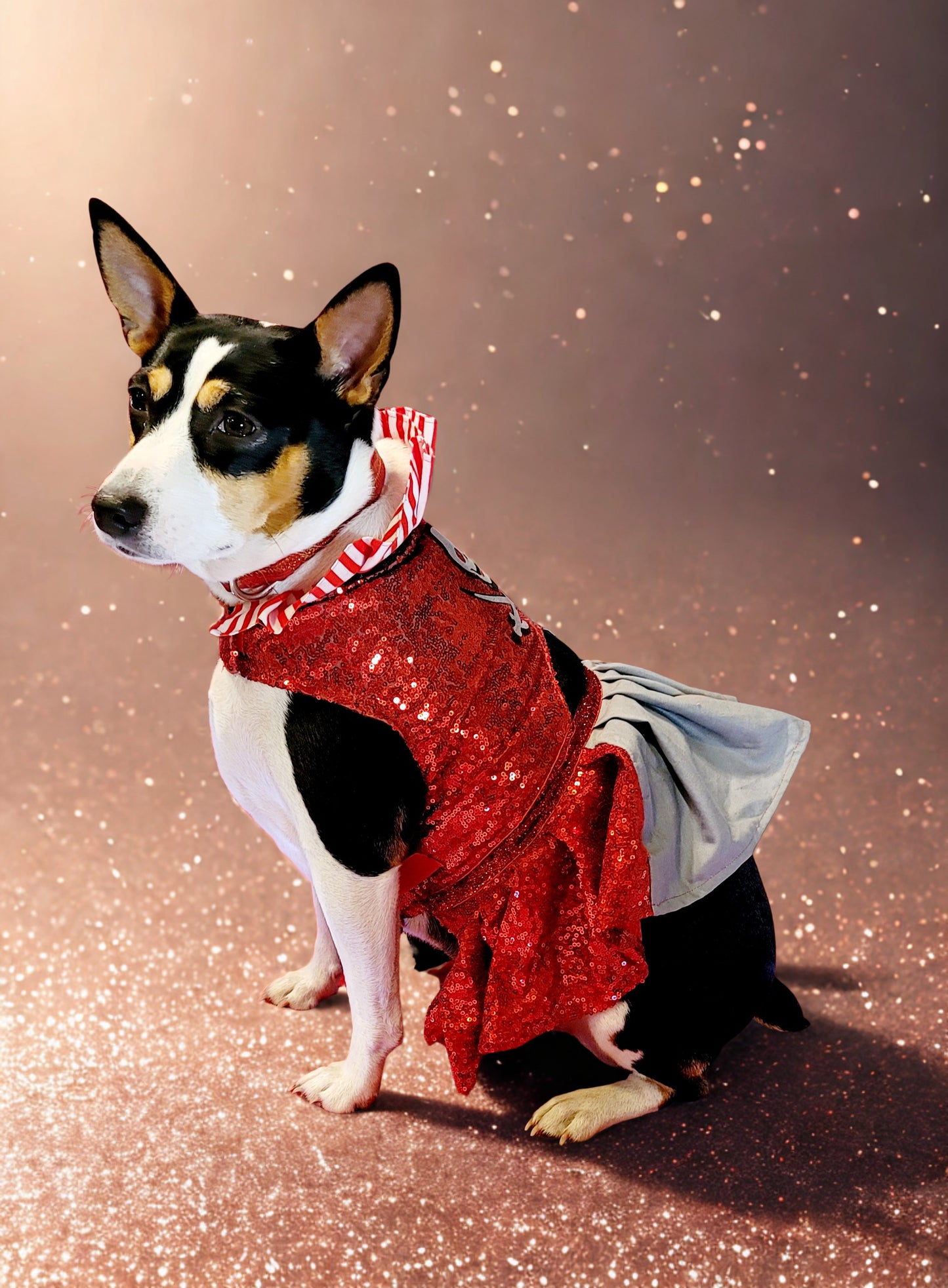 Pet Pirate female Costume, Dog Pirate Costume, Pirate pet costume, Pirate cat costume, female Pirate pet, Pirate pet dress